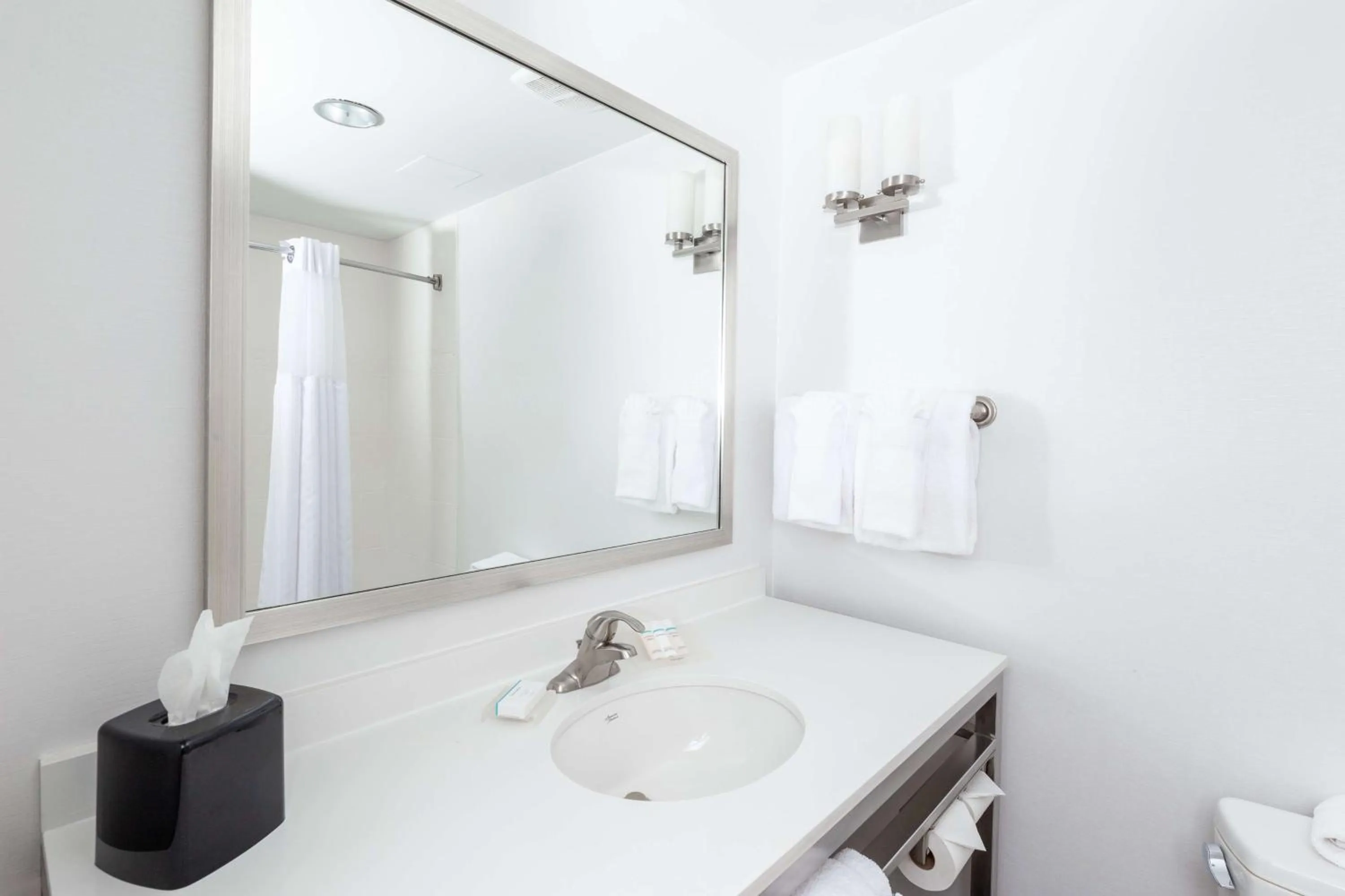 Bathroom in Hilton Garden Inn Asheville Downtown