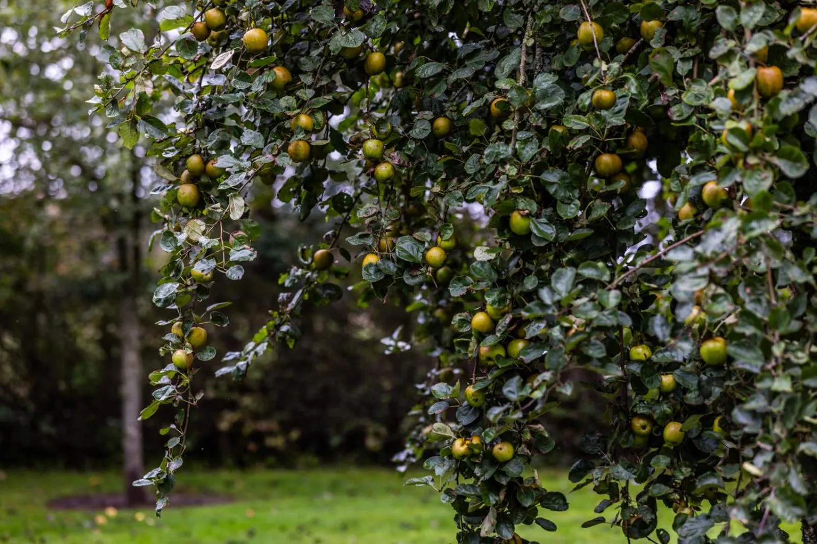 Off site in Nørre Vosborg Hotel & Gastronomi