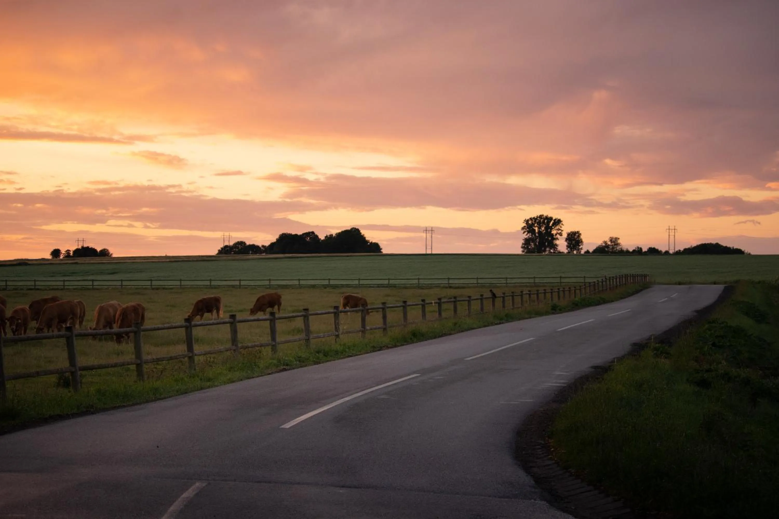 Natural landscape in Hotel Sørup Herregaard