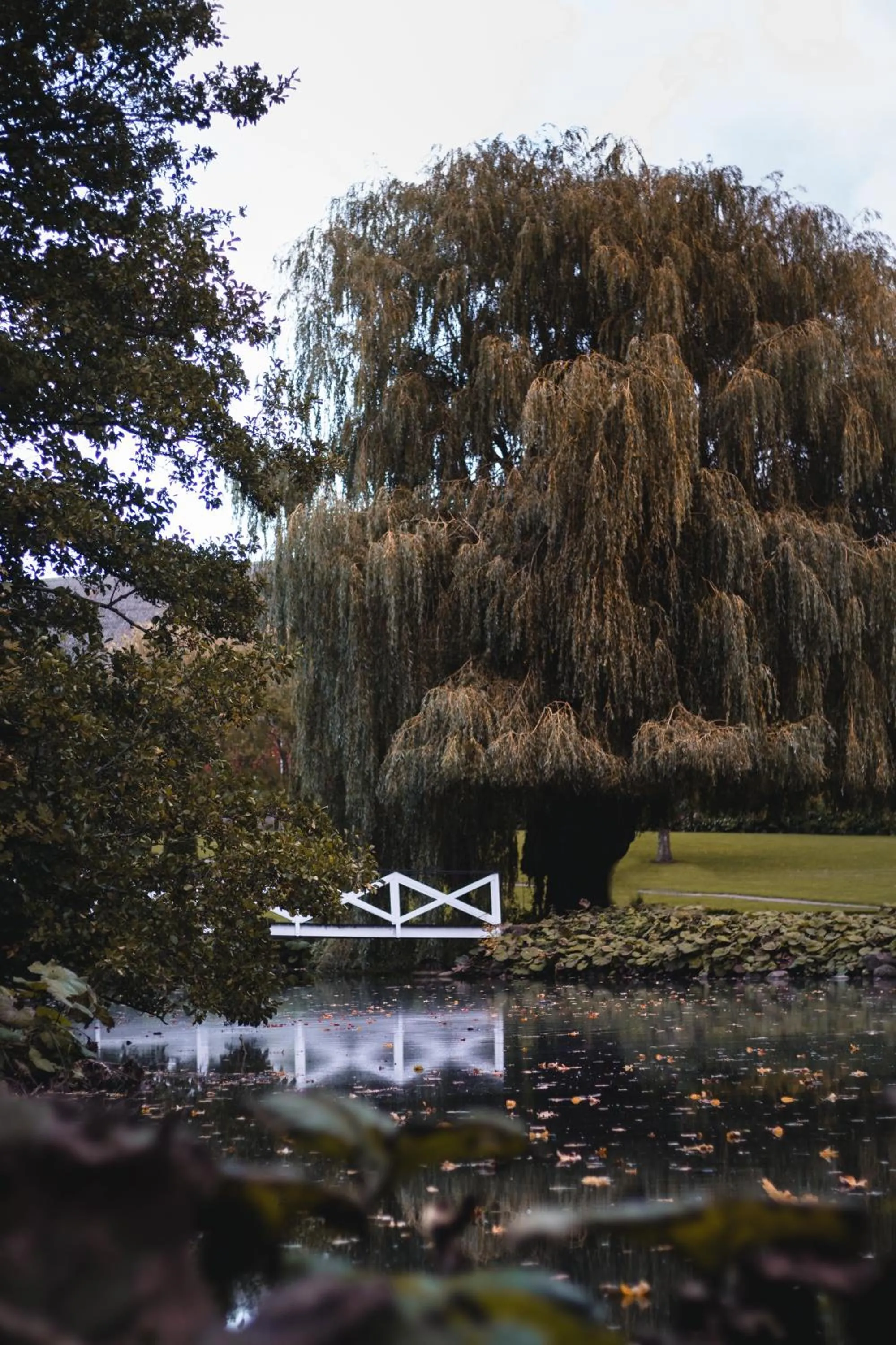 Garden in Hotel Sørup Herregaard
