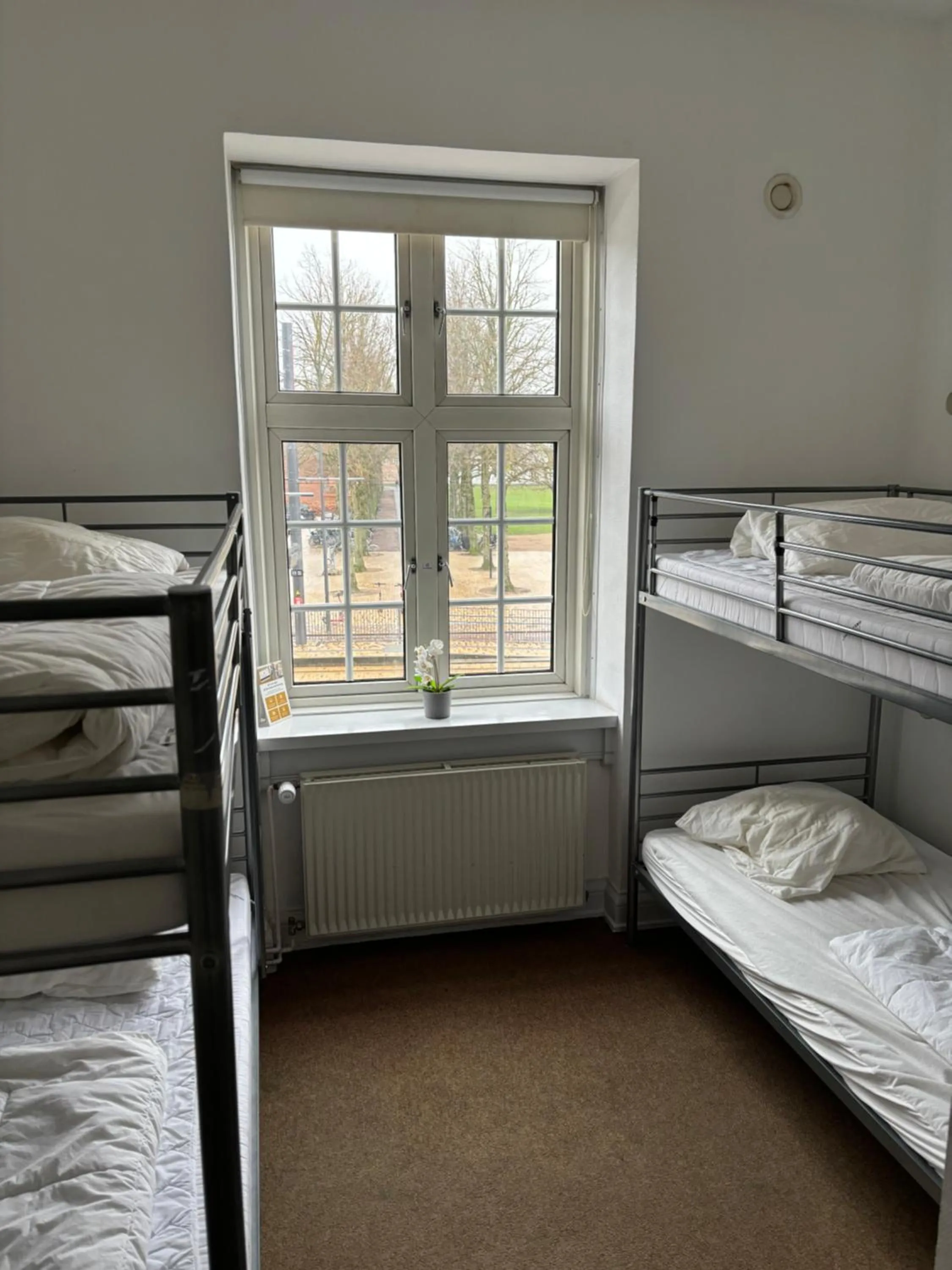 Bed in Danhostel Odense City