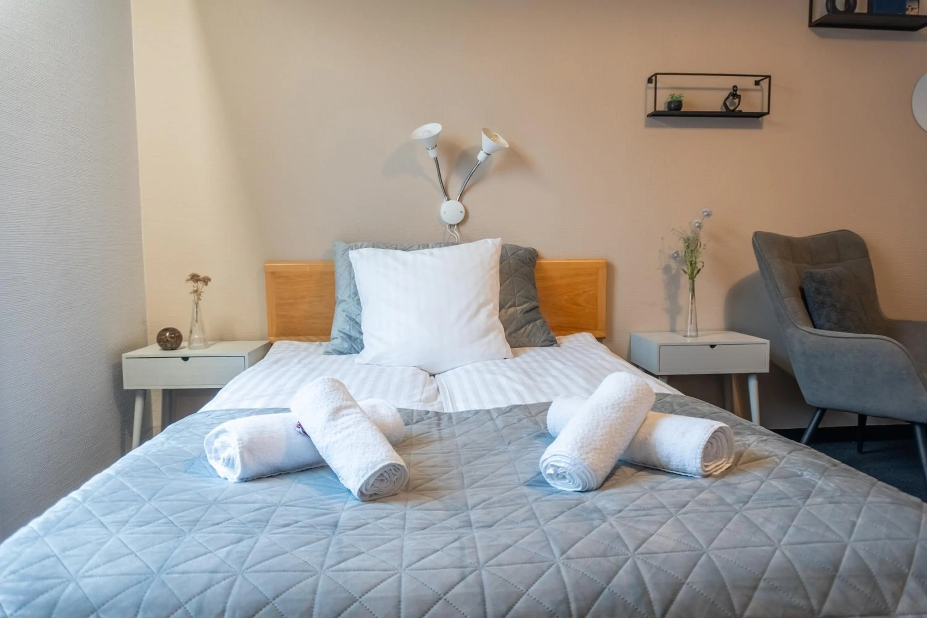 Double Room - single occupancy in Hotel Assens
