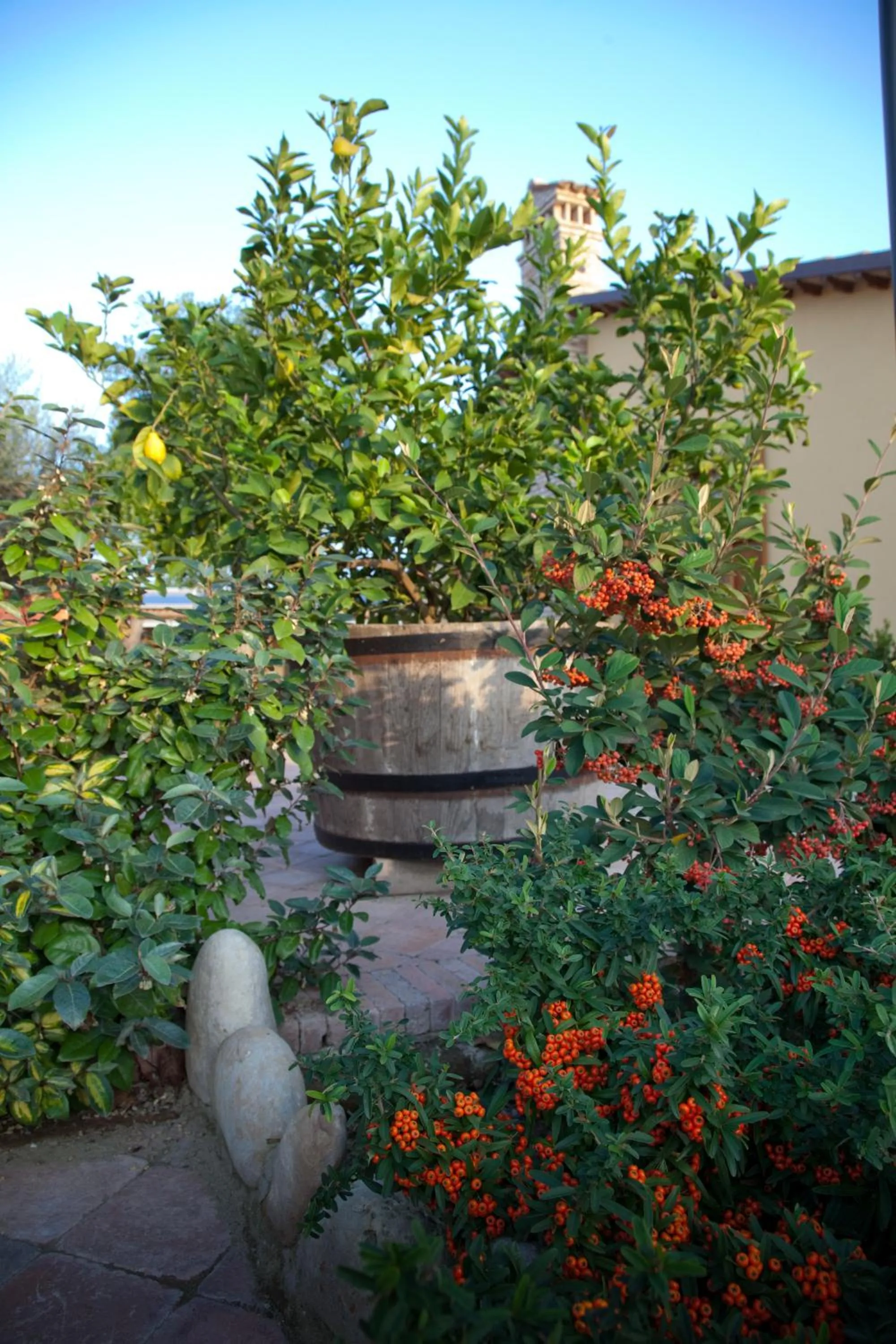 Floor plan in Valle del Metauro Country House
