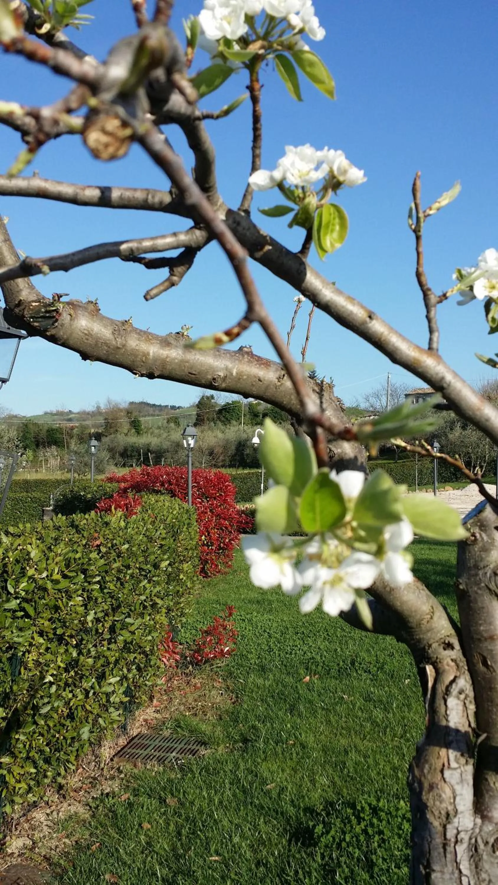 Property building in Valle del Metauro Country House