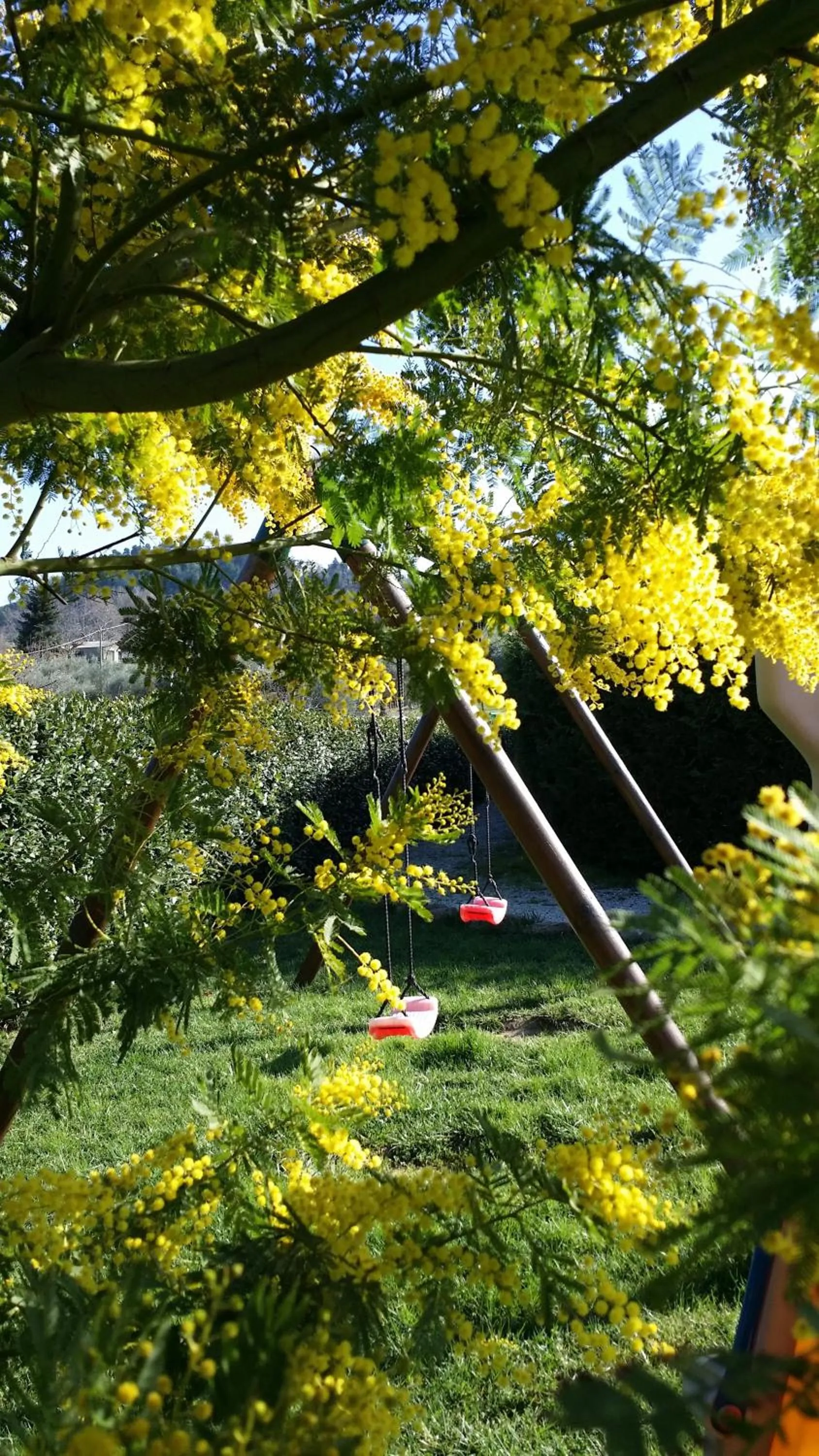 Property building in Valle del Metauro Country House