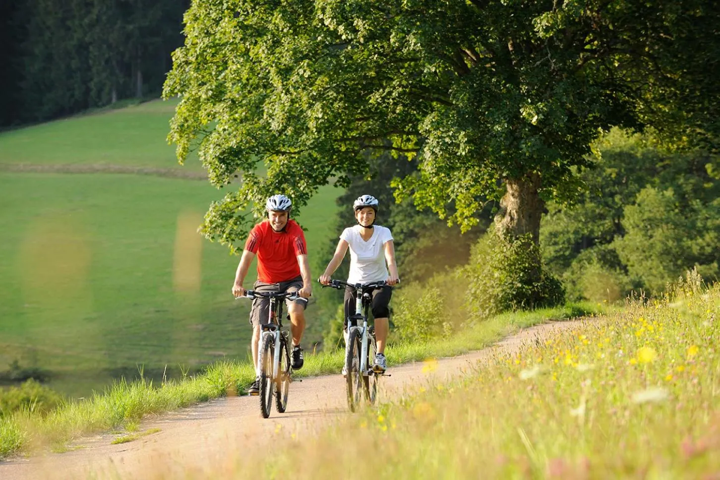 Natural landscape in Hotel Heselbacher Hof