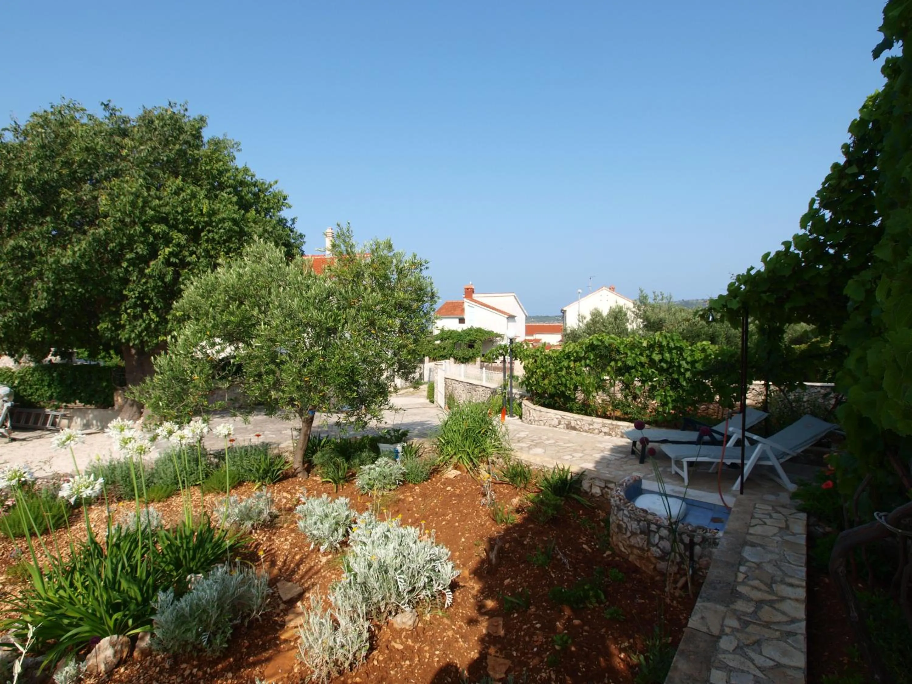 Garden in Villa Perla