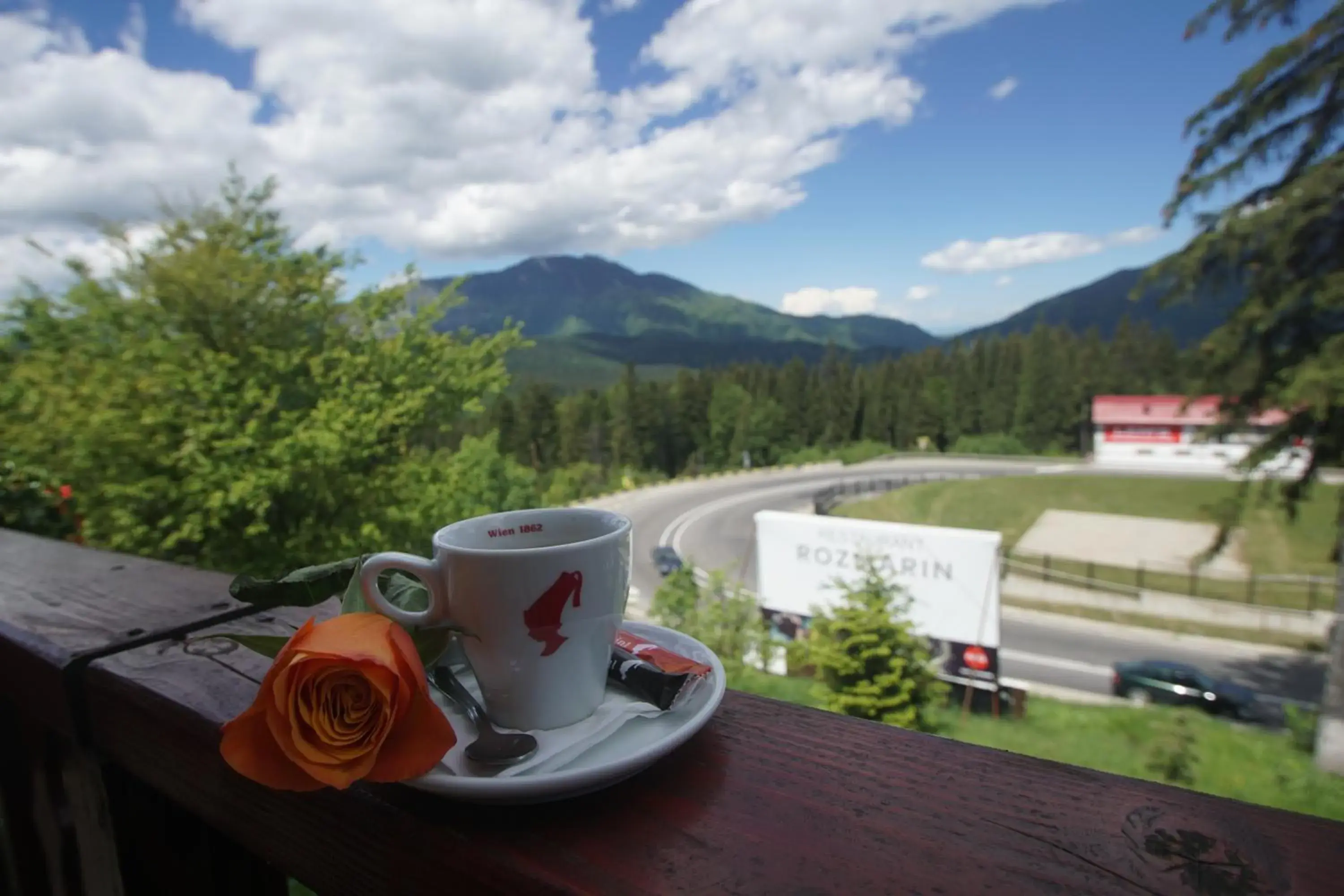 View (from property/room) in Hotel Rozmarin View (from property/room) in Hotel Rozmarin