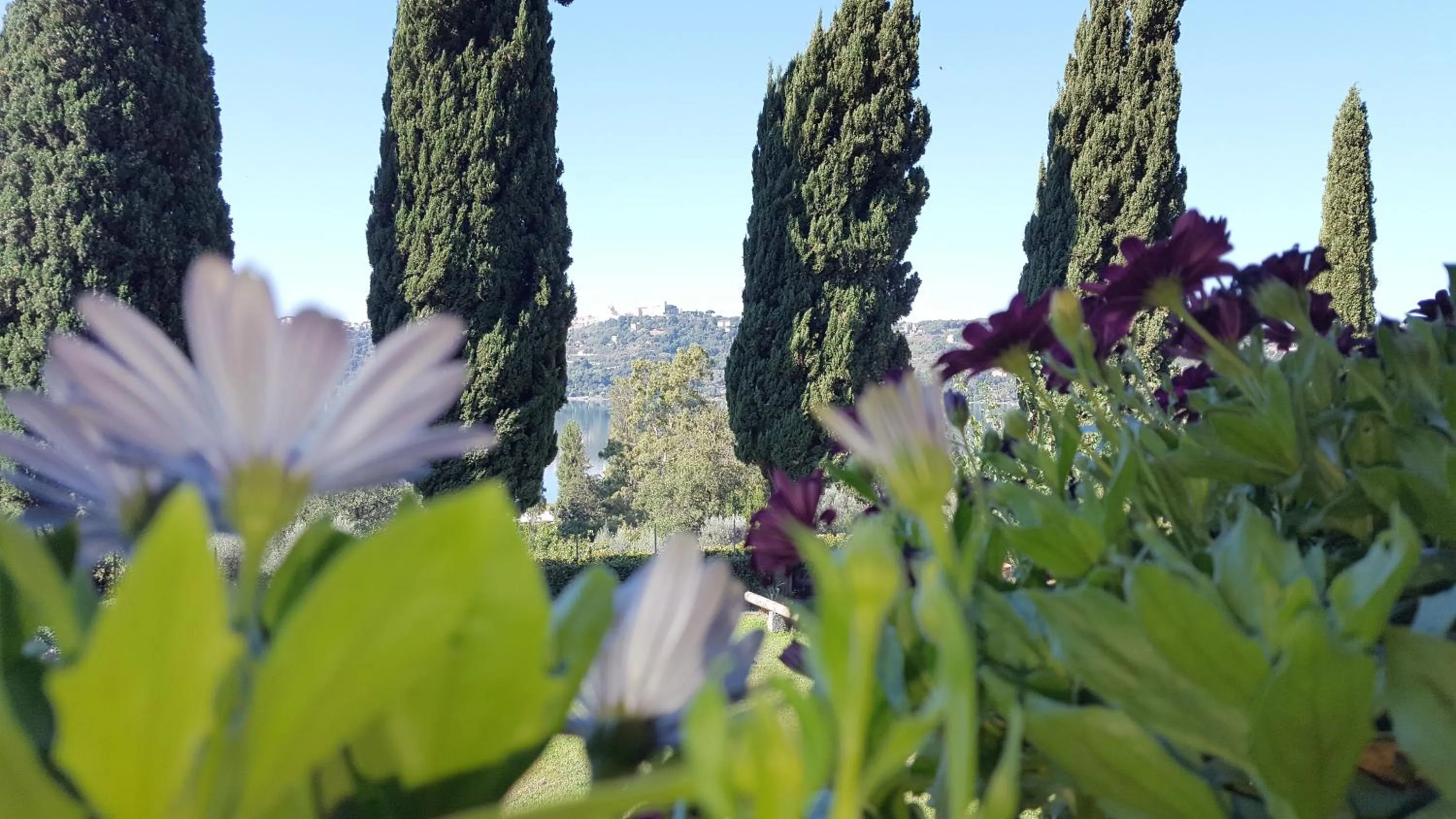 Summer in Il Nido del Falco