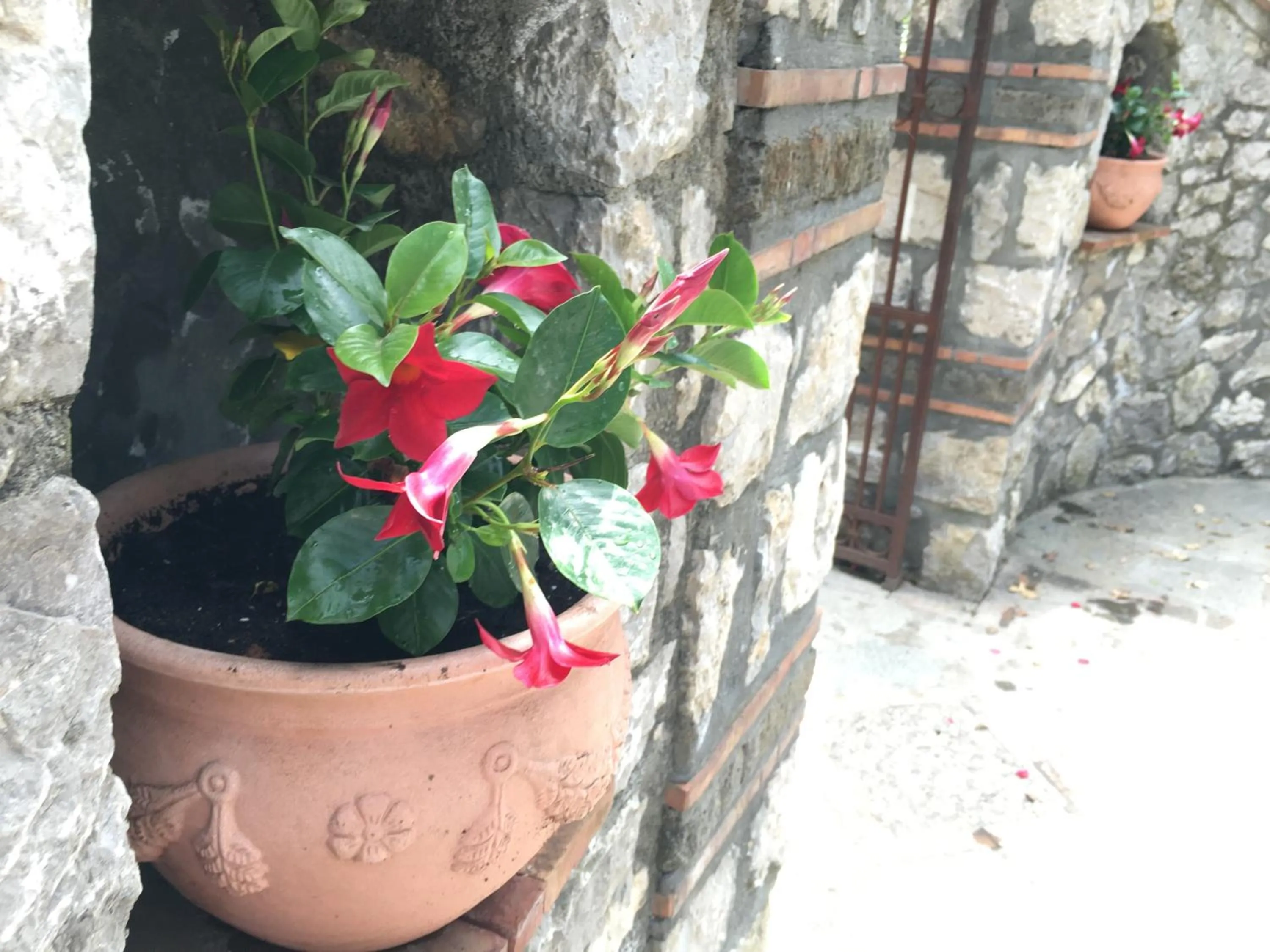 On site in Relais Villa Anna