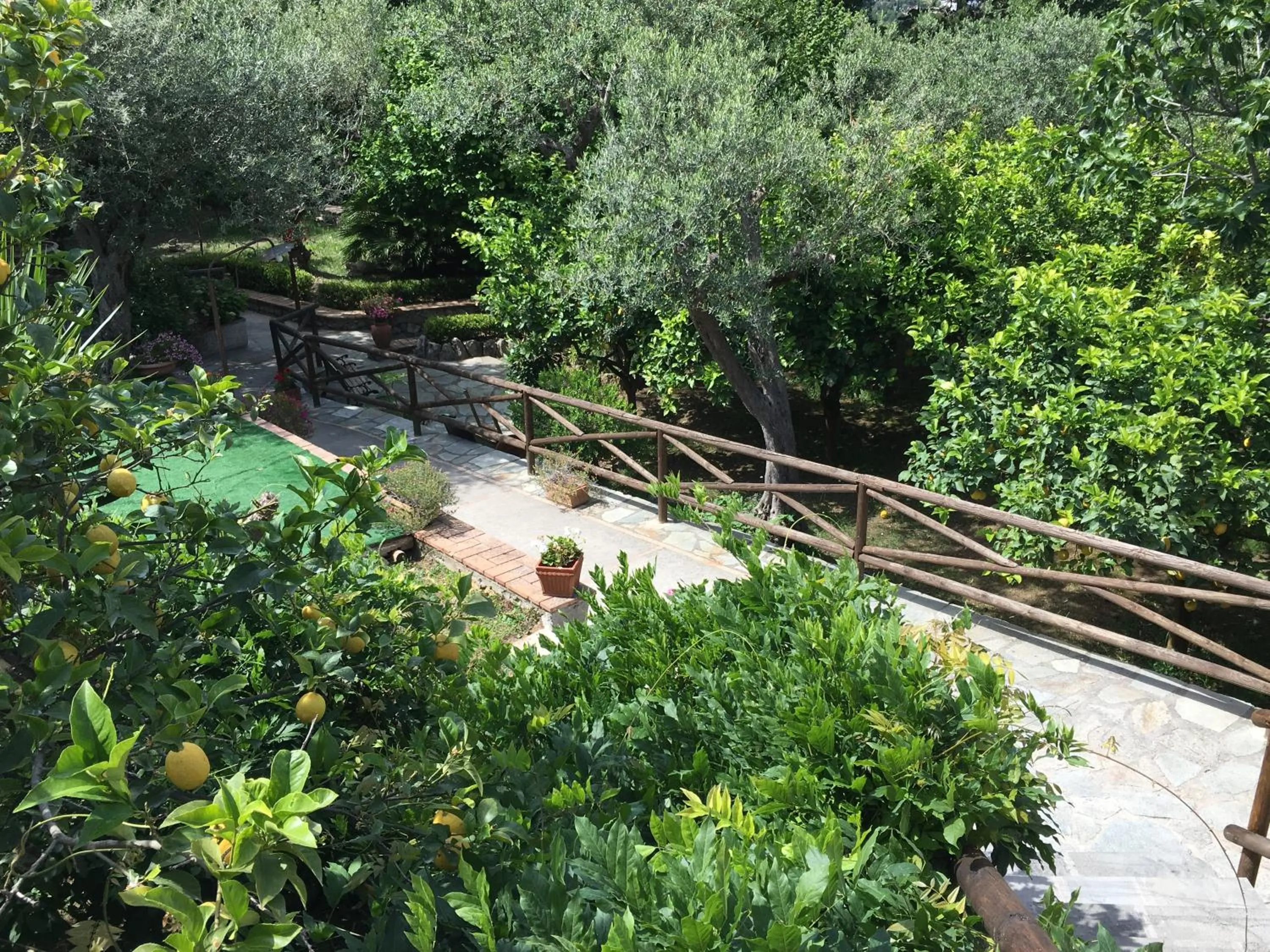 Garden in Relais Villa Anna