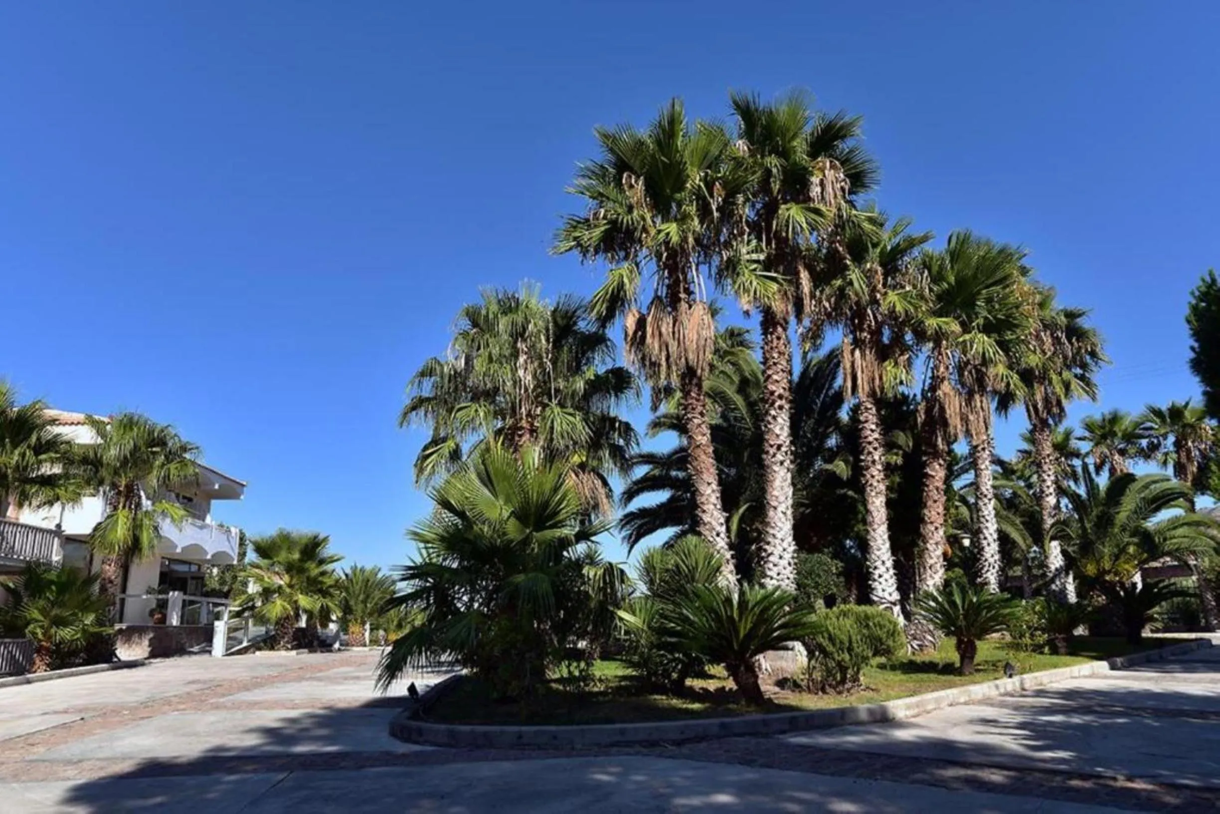 Natural landscape in Viva Mare Hotel & Spa