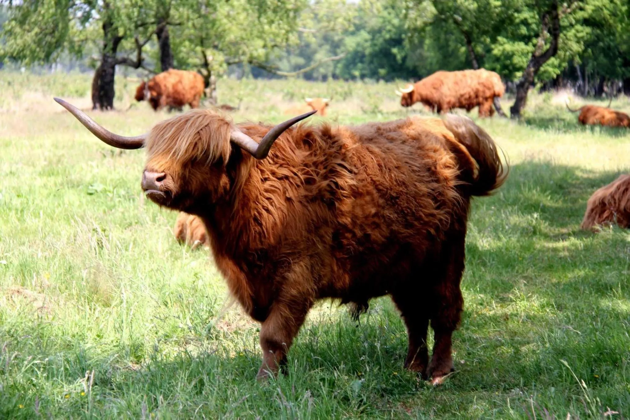 Nearby landmark in Hotel Rozenburg