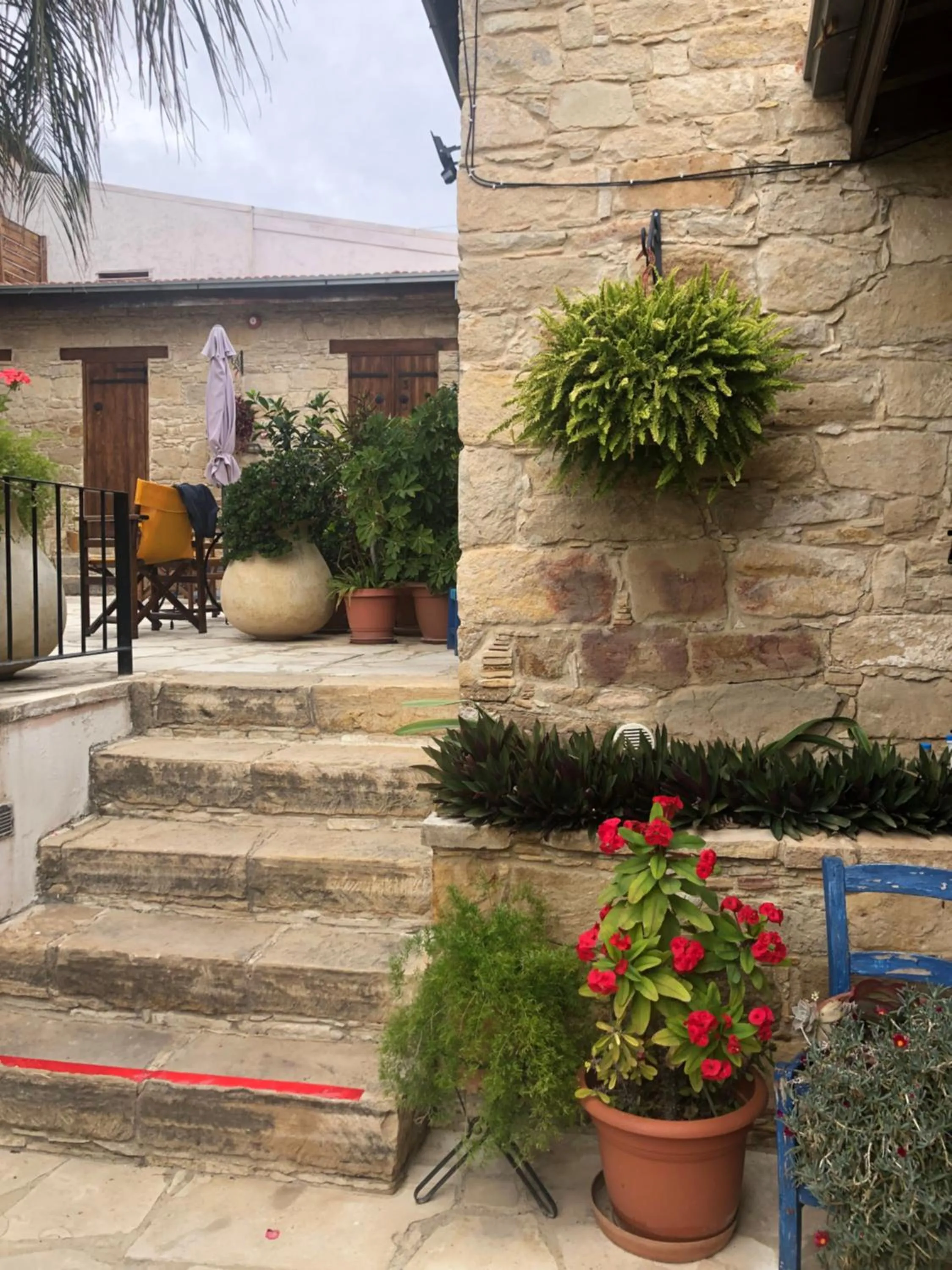 Garden in Niki's House