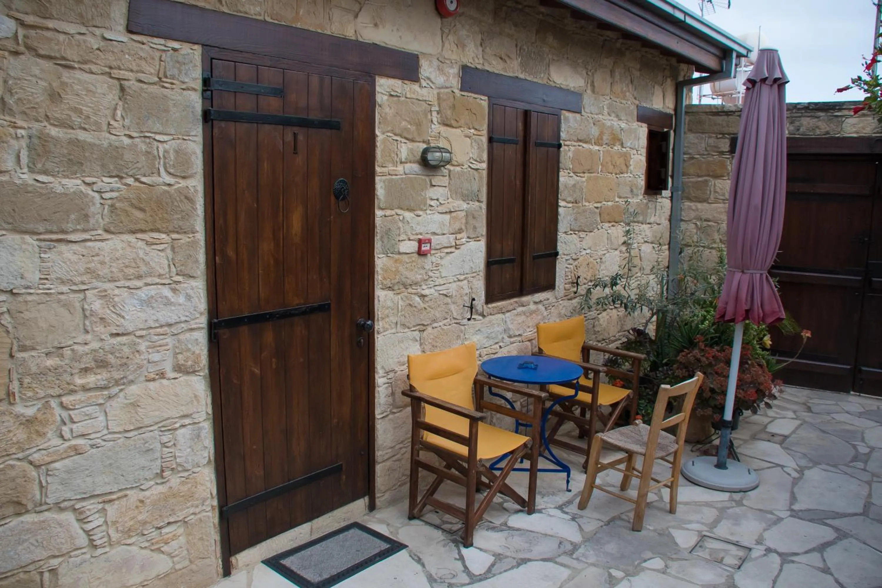 Garden in Niki's House