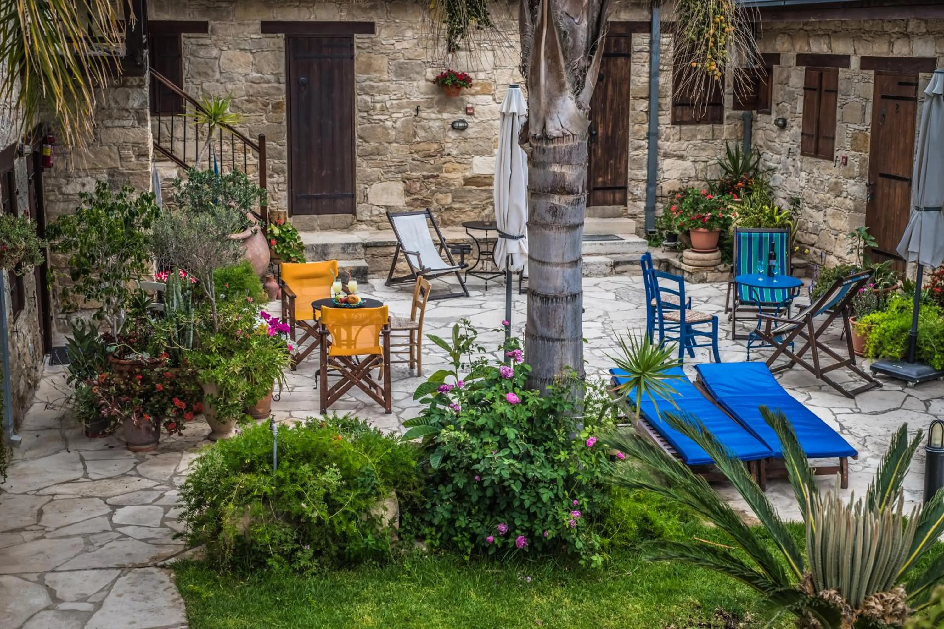 Spring in Niki's House