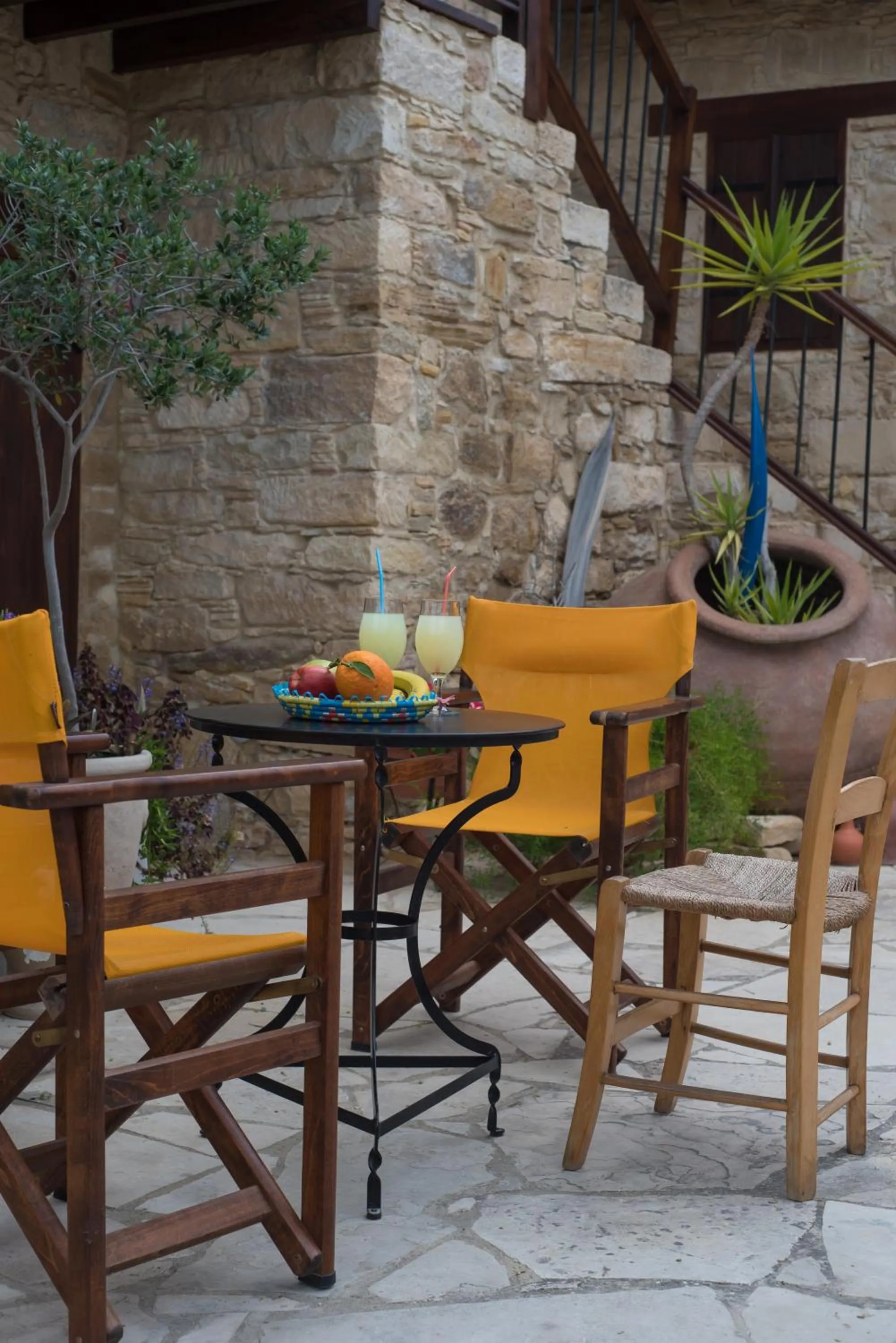 Garden in Niki's House