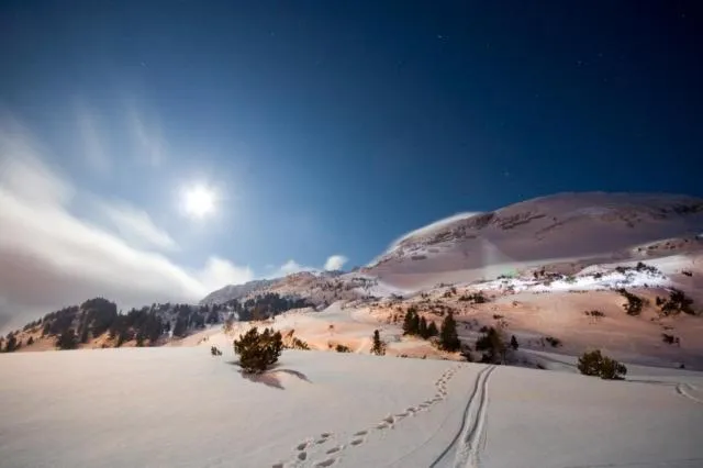 Skiing in Hotel Alpenland