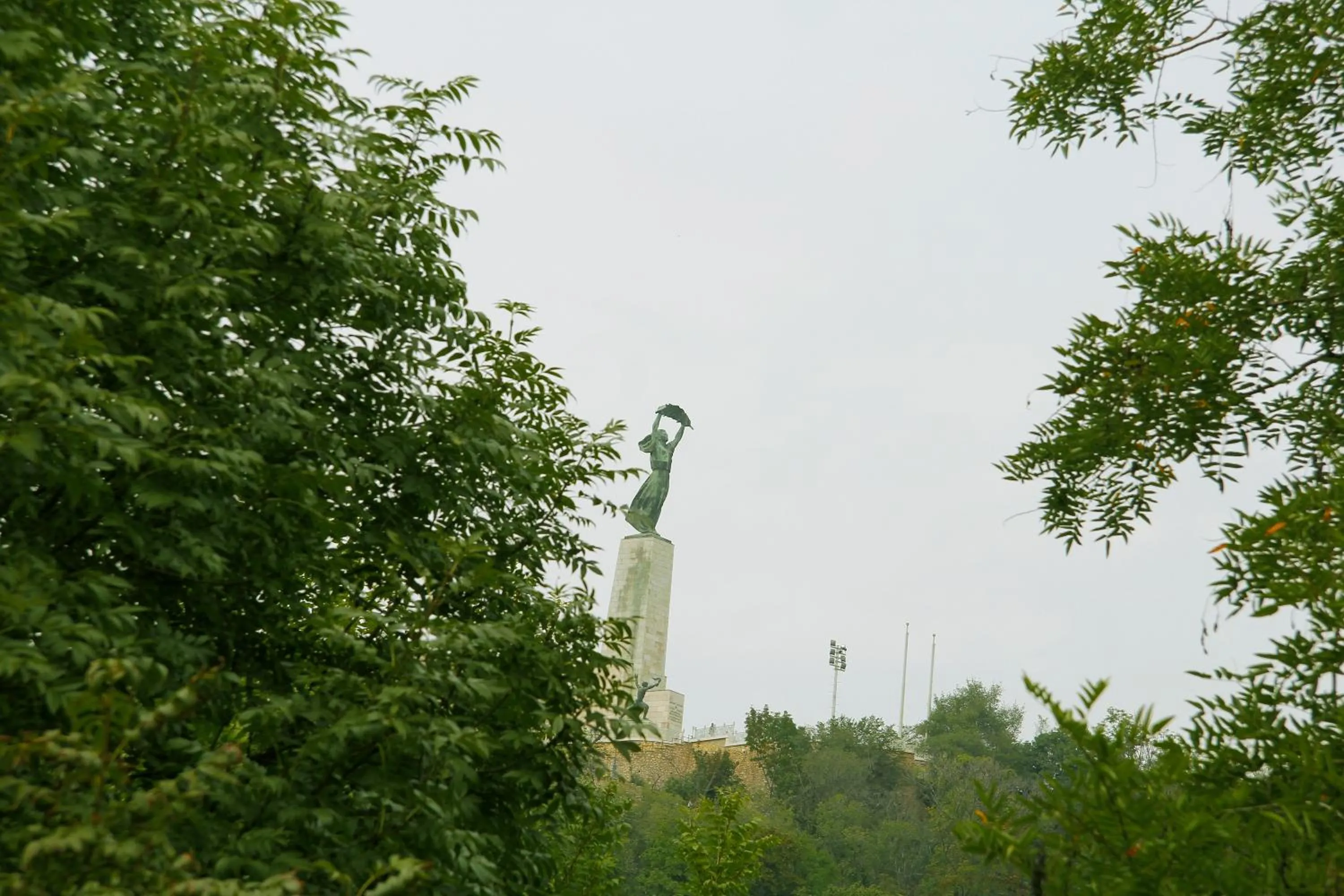 View (from property/room) in Kalmár Panzió