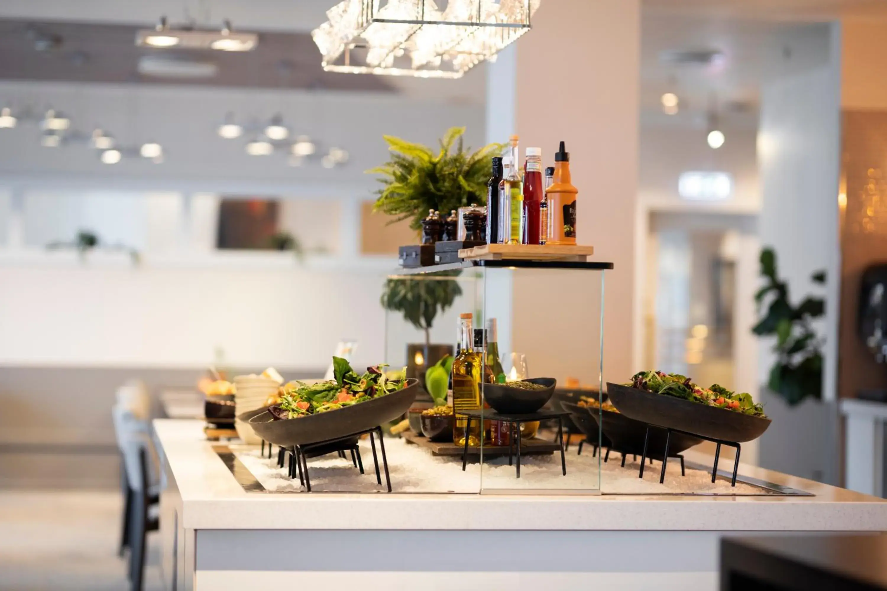 Restaurant/places to eat in Home Hotel Arcticus Restaurant/places to eat in Home Hotel Arcticus