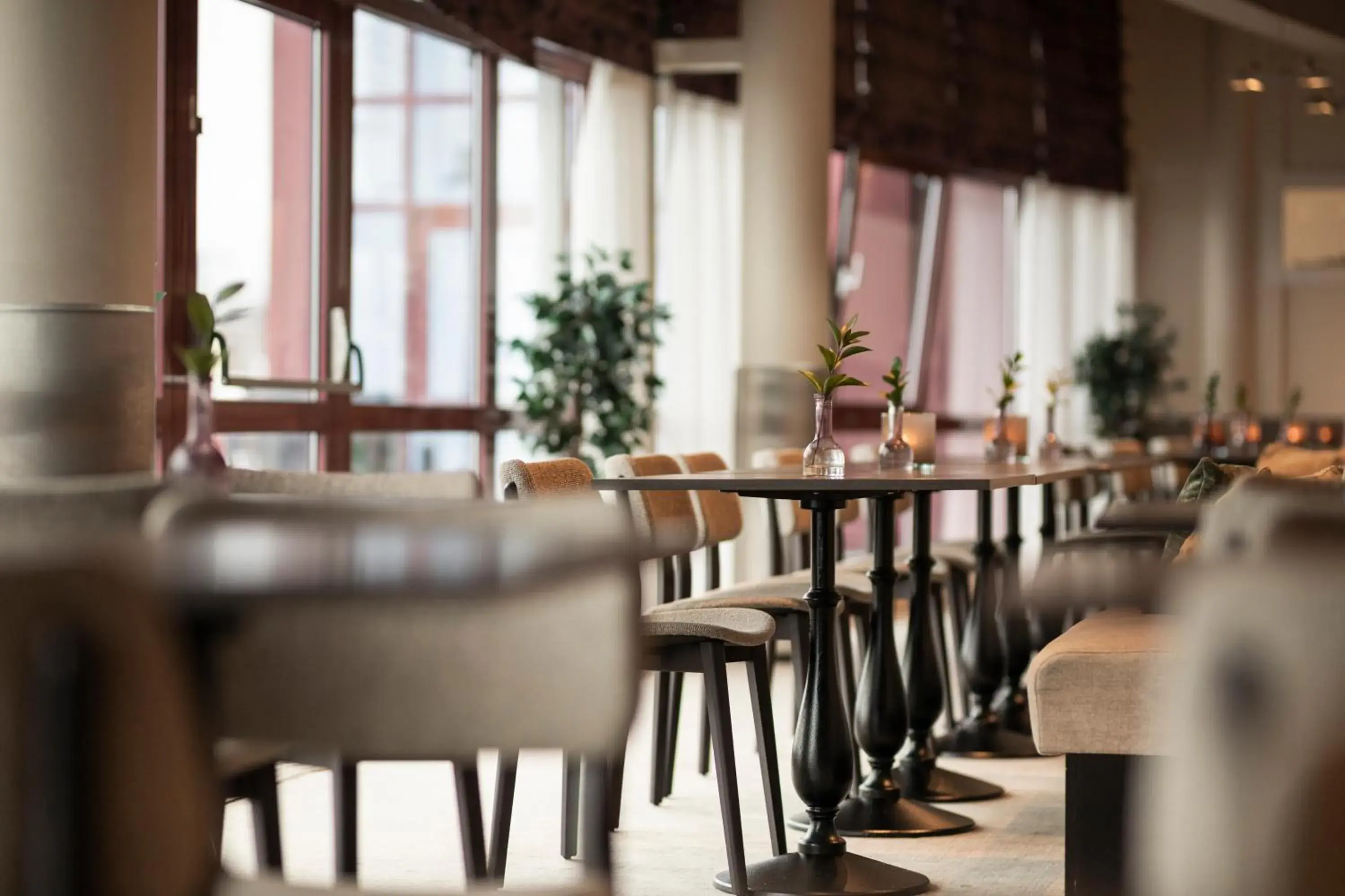 Restaurant/places to eat in Home Hotel Arcticus Restaurant/places to eat in Home Hotel Arcticus