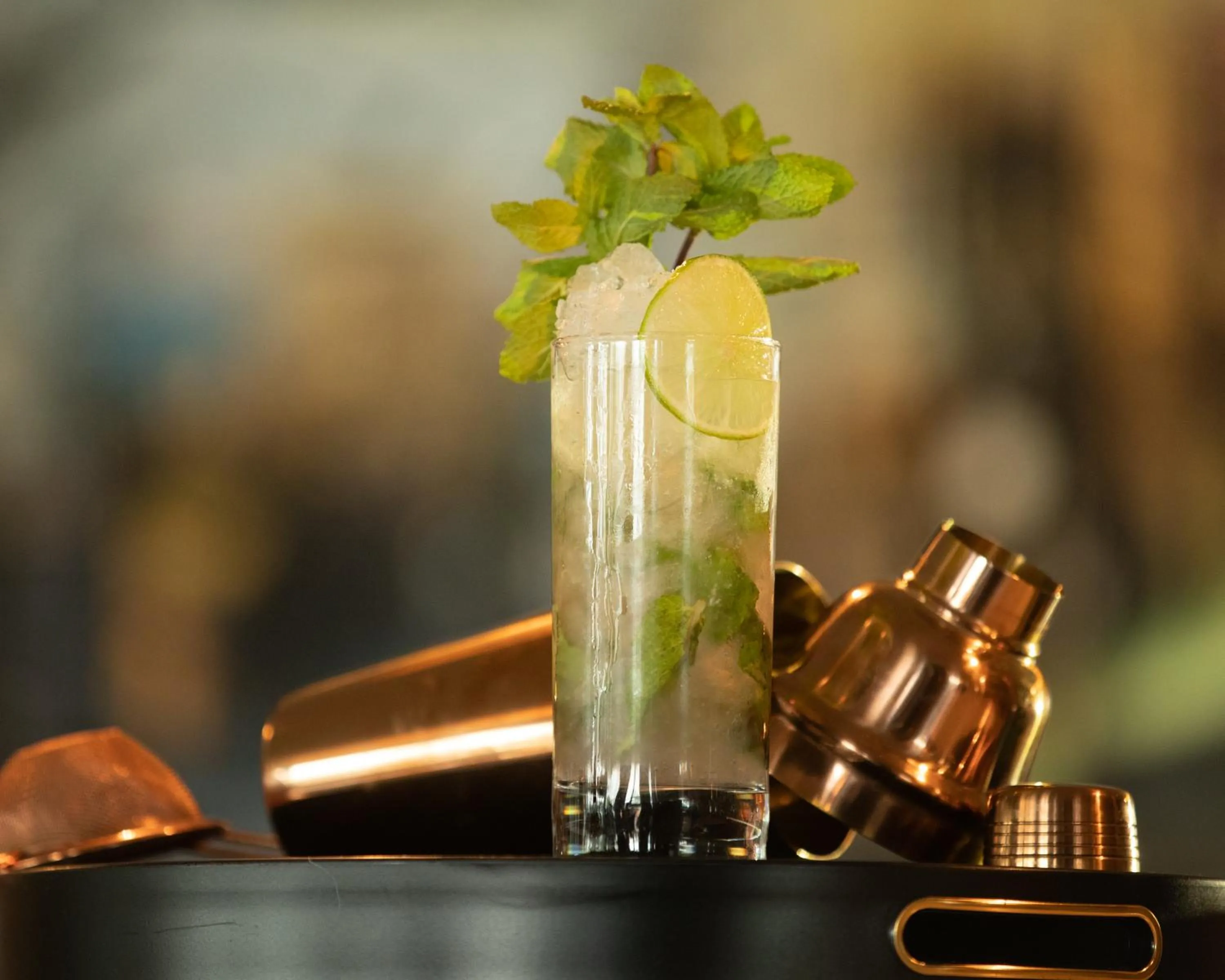 Alcoholic drinks in Scandic Syv Søstre