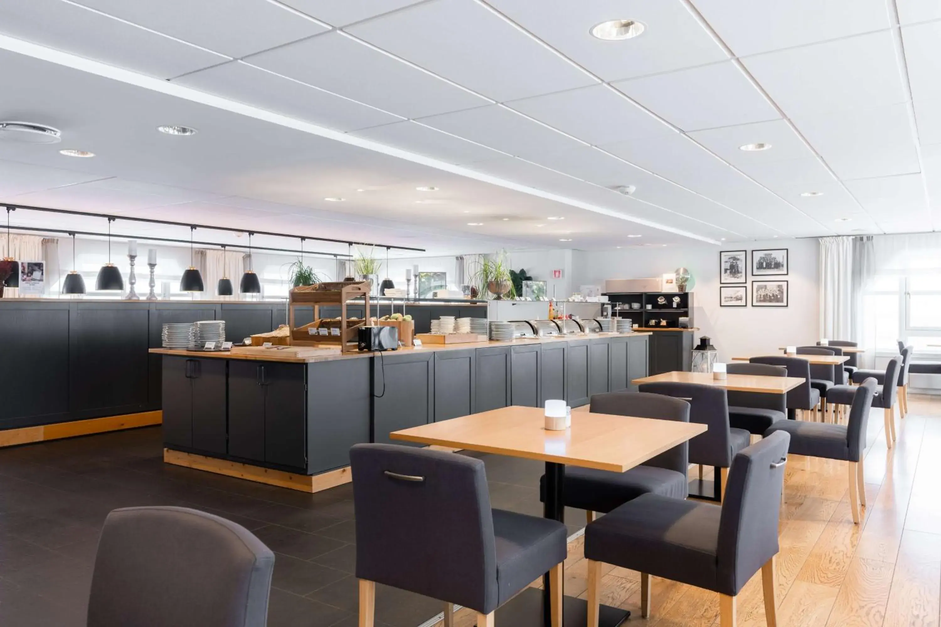 Restaurant/places to eat in Scandic Bryggen Restaurant/places to eat in Scandic Bryggen