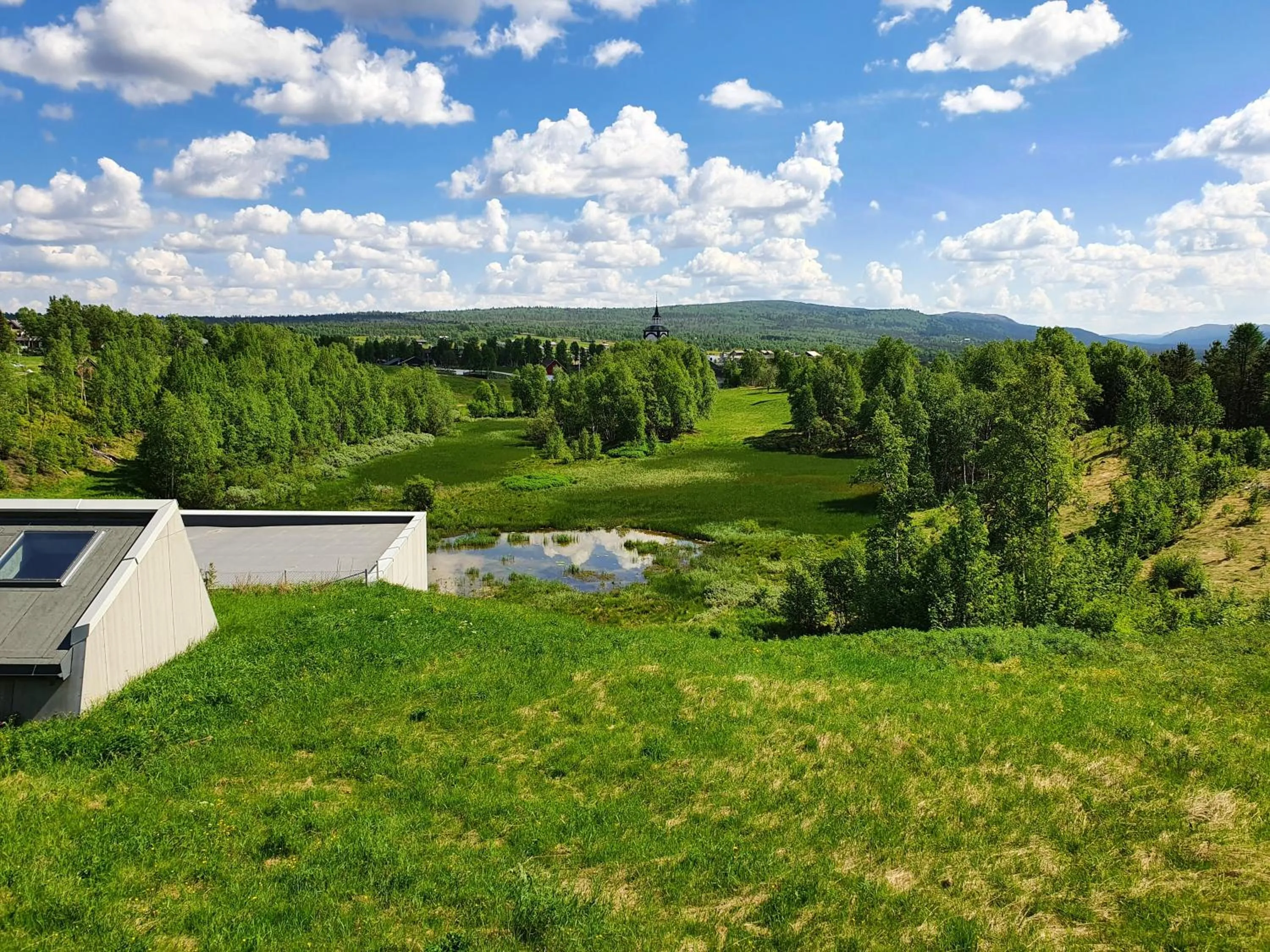 Natural landscape in Røros Hotell - Bad & Velvære
