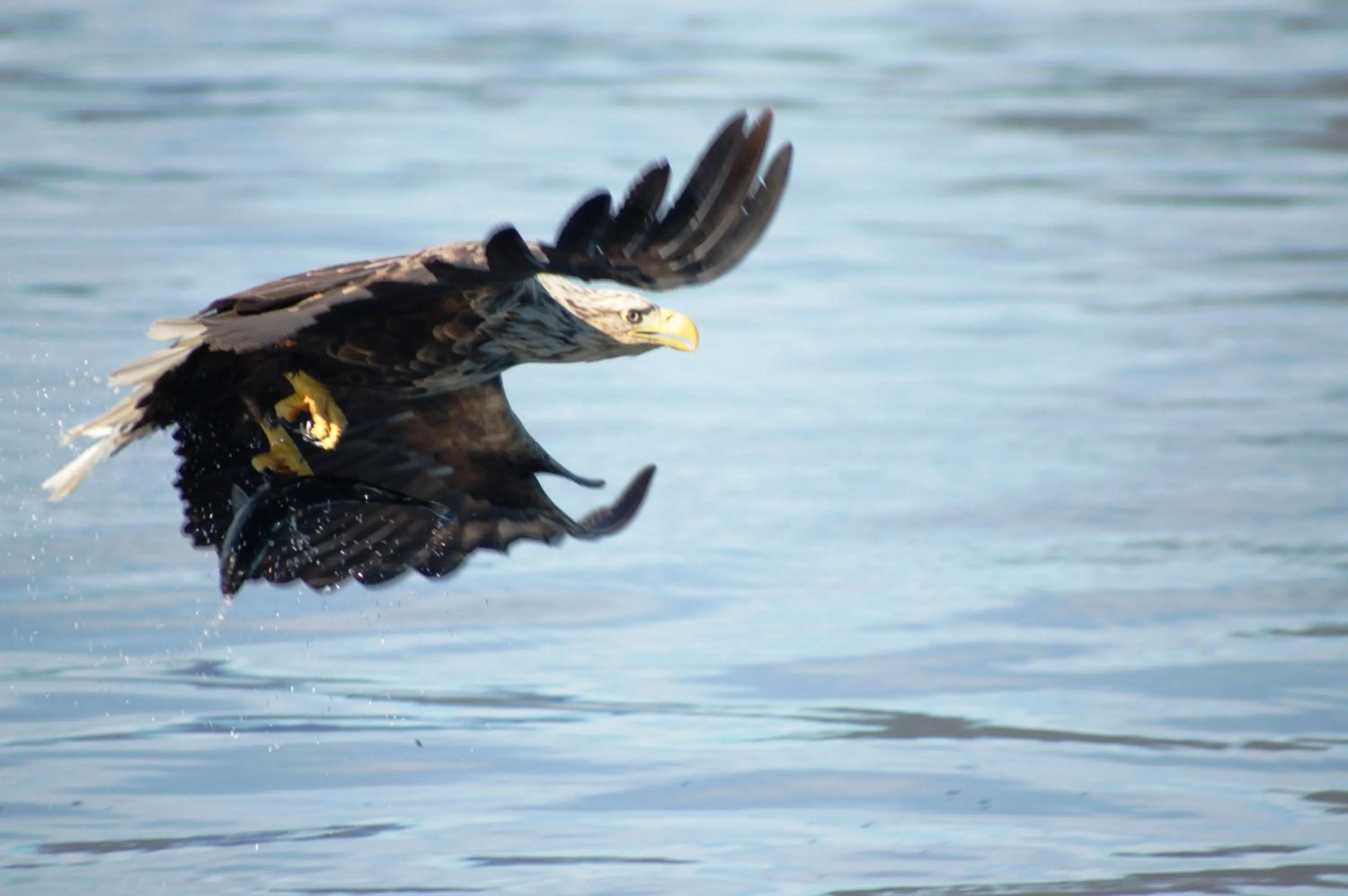 Other in Thon Hotel Lofoten