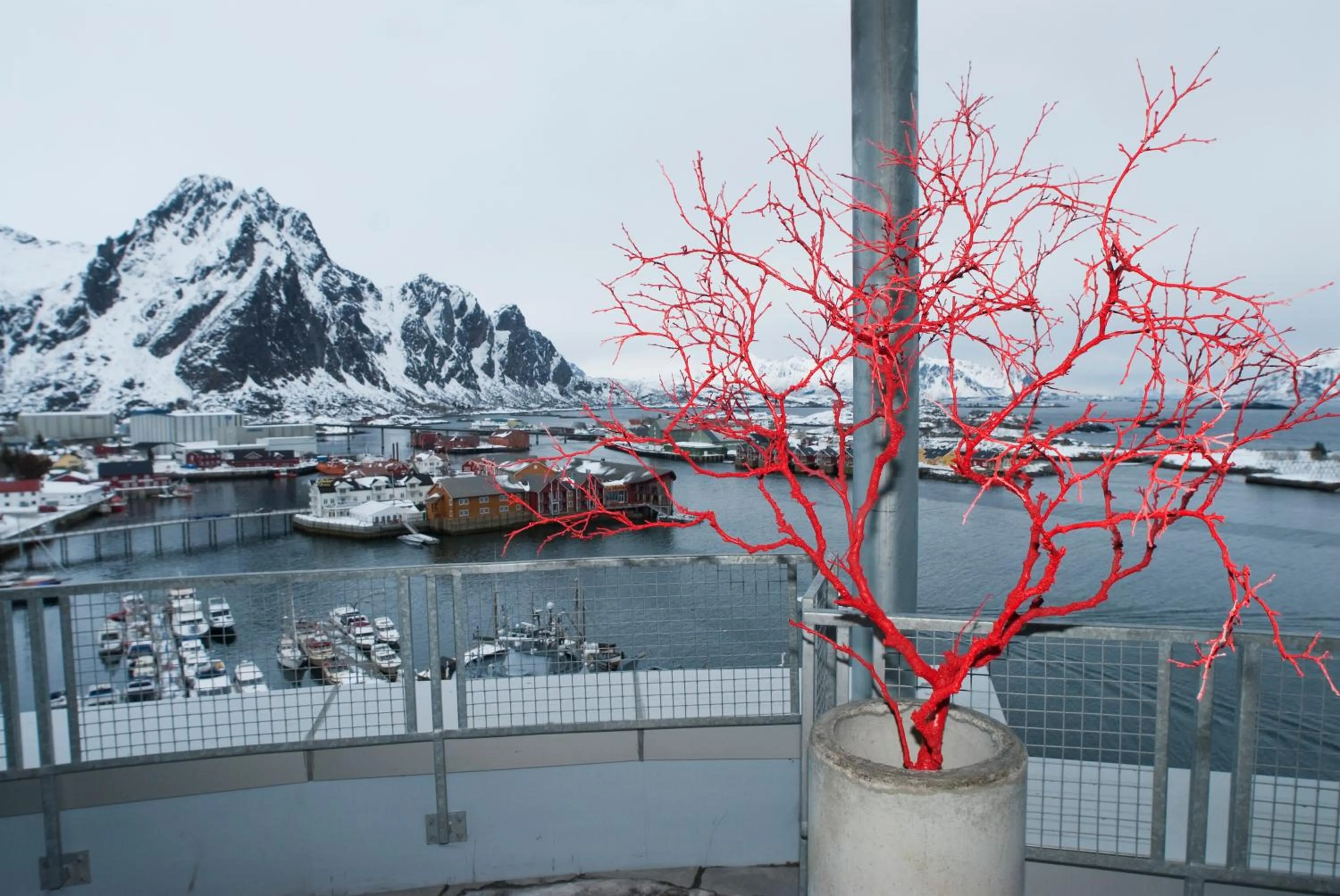 Mountain view in Thon Hotel Lofoten