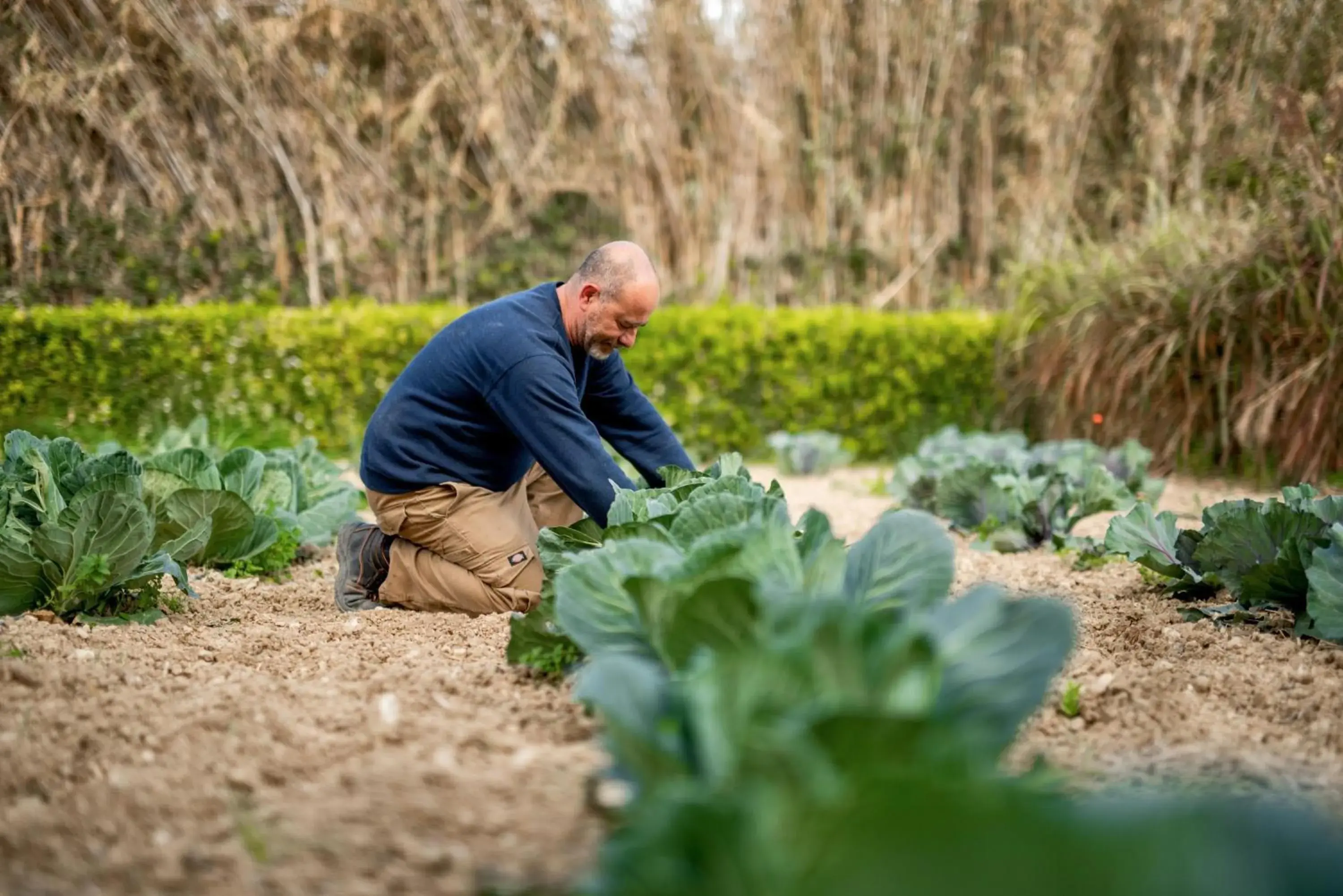 Property building in Kempinski Hotel San Lawrenz Property building in Kempinski Hotel San Lawrenz