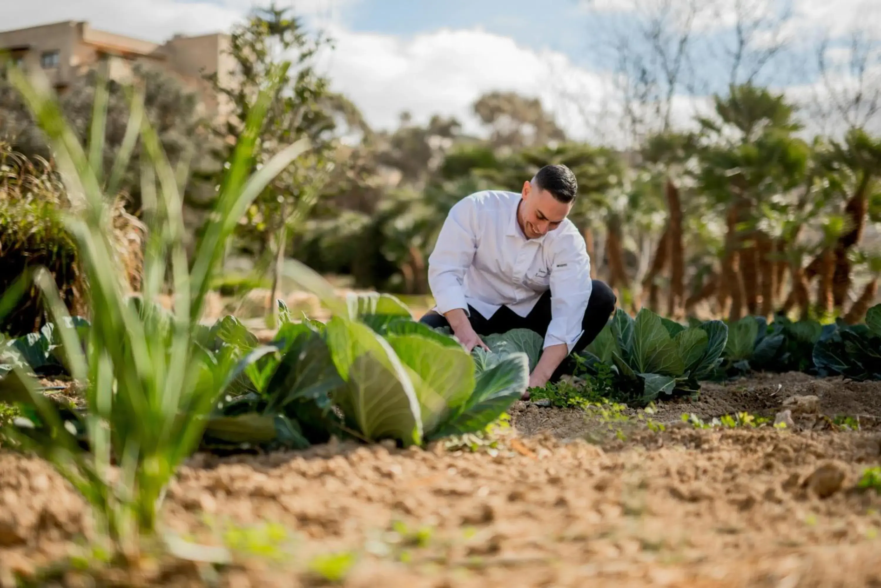Property building in Kempinski Hotel San Lawrenz Property building in Kempinski Hotel San Lawrenz