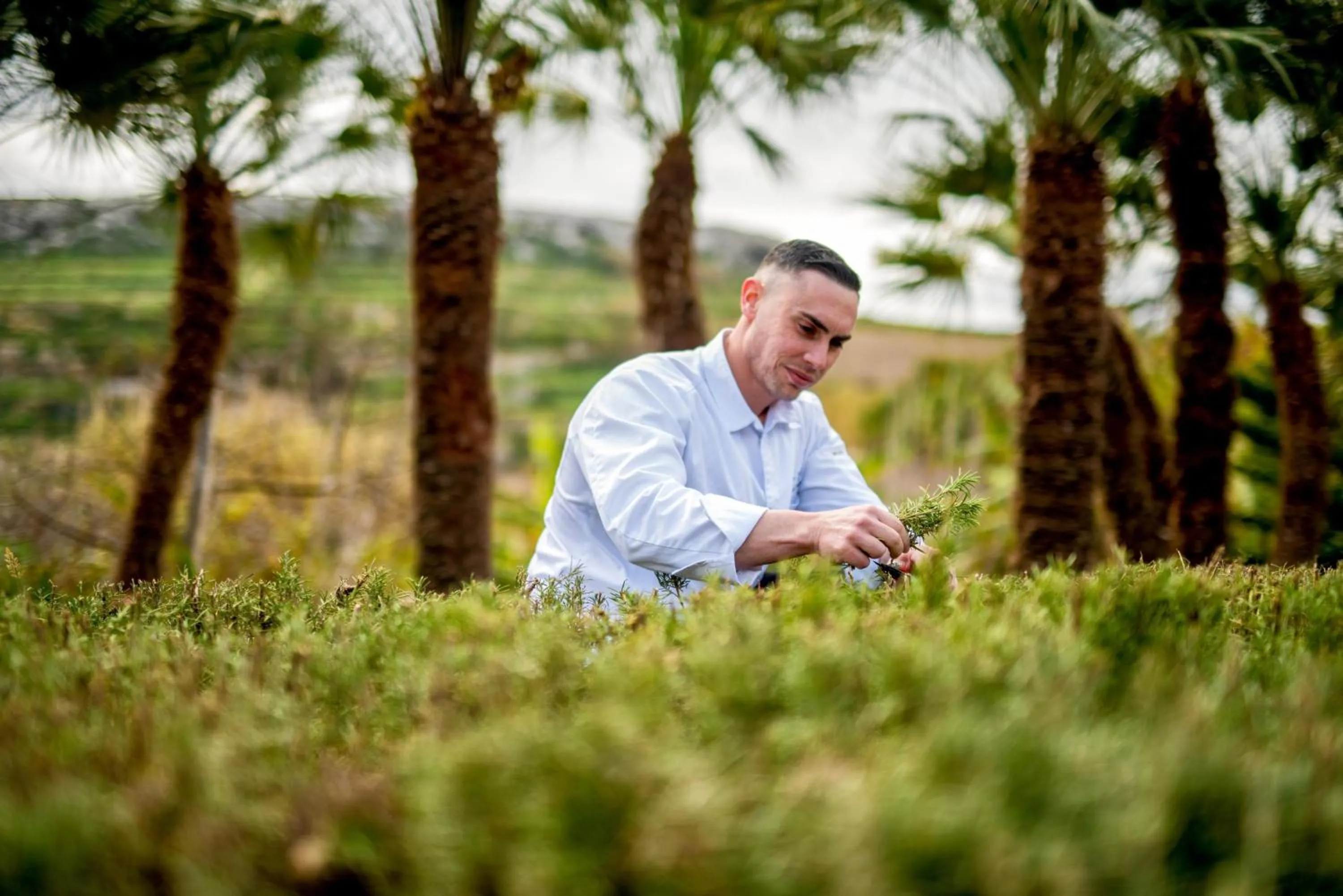 Property building in Kempinski Hotel San Lawrenz