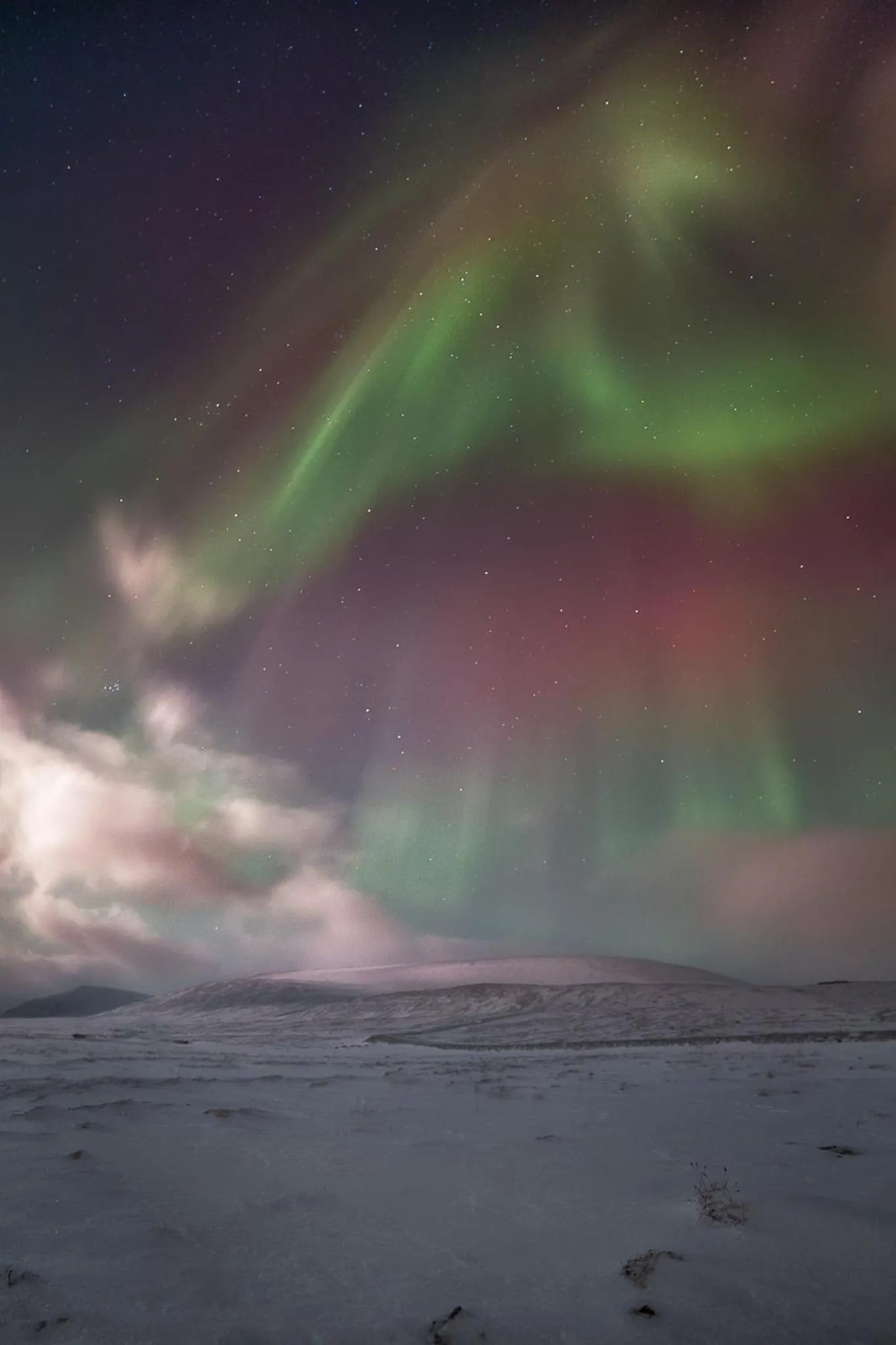 Natural landscape in Basecamp Hotel