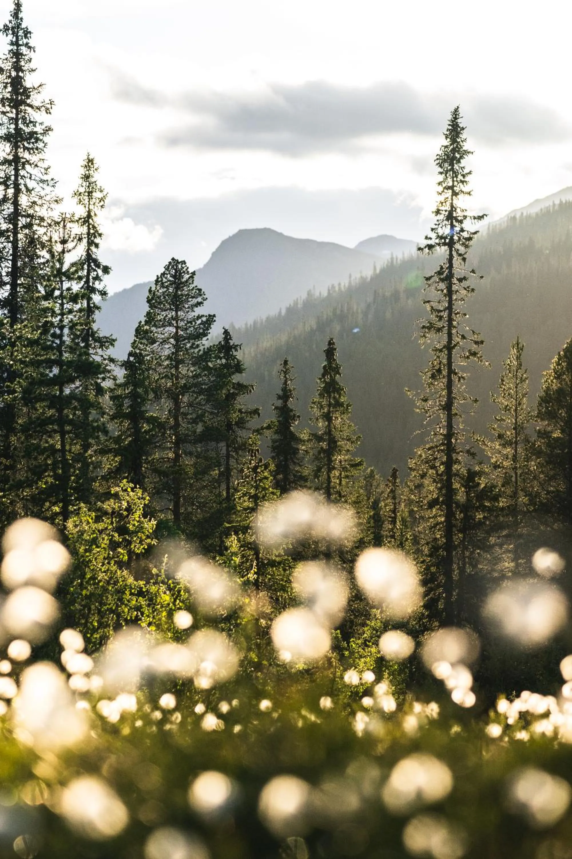 Skarsnuten Mountain Resort & SPA