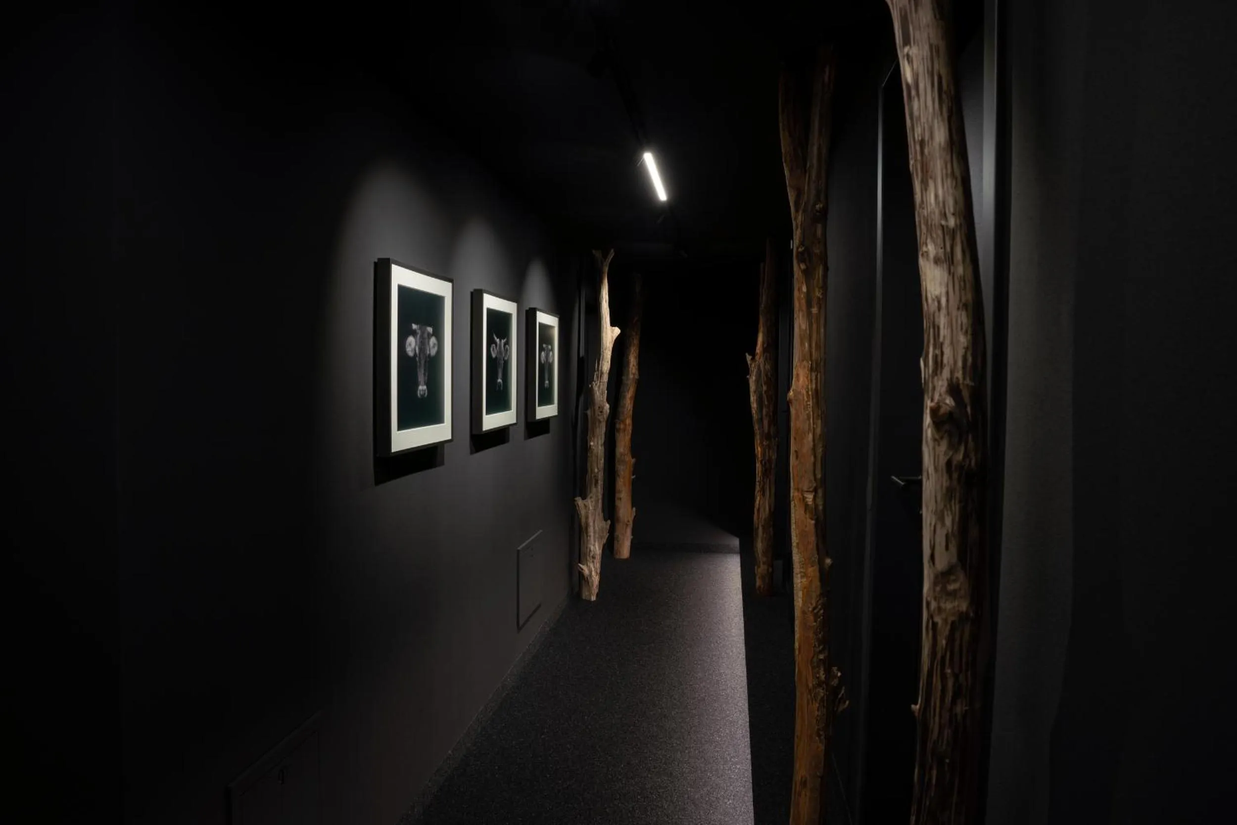 Decorative detail in Der Löwe