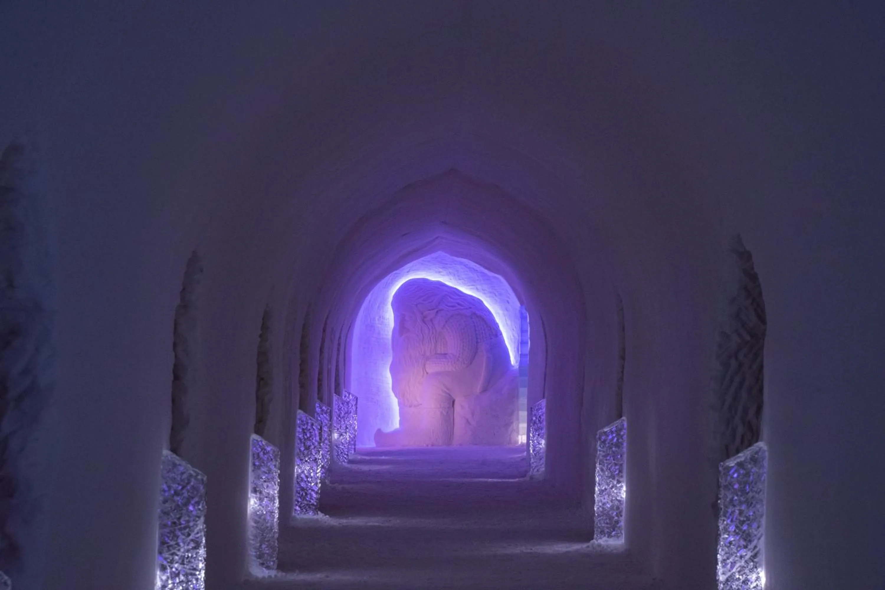 Area and facilities in Sorrisniva Igloo Hotel