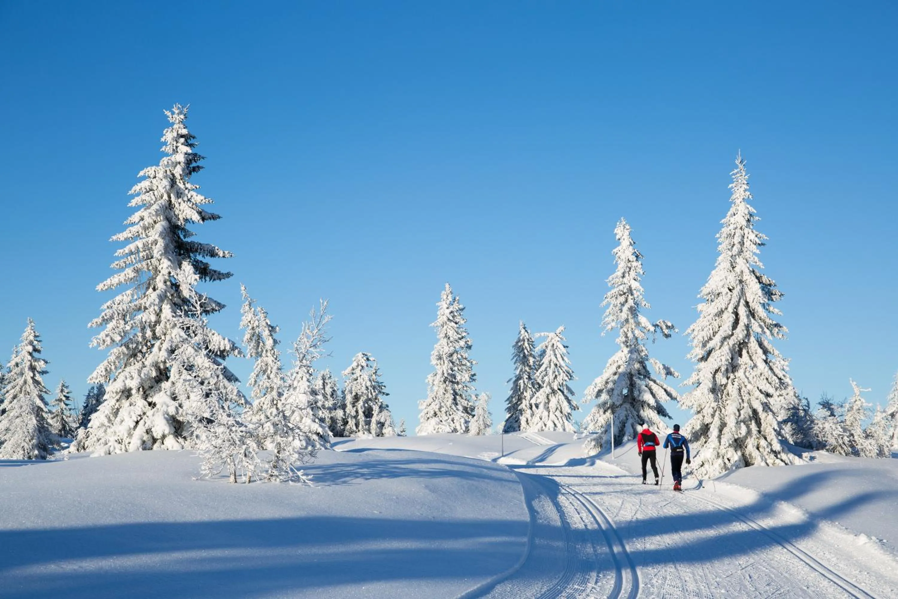 Day in Thon Partner Hotel Victoria Hamar