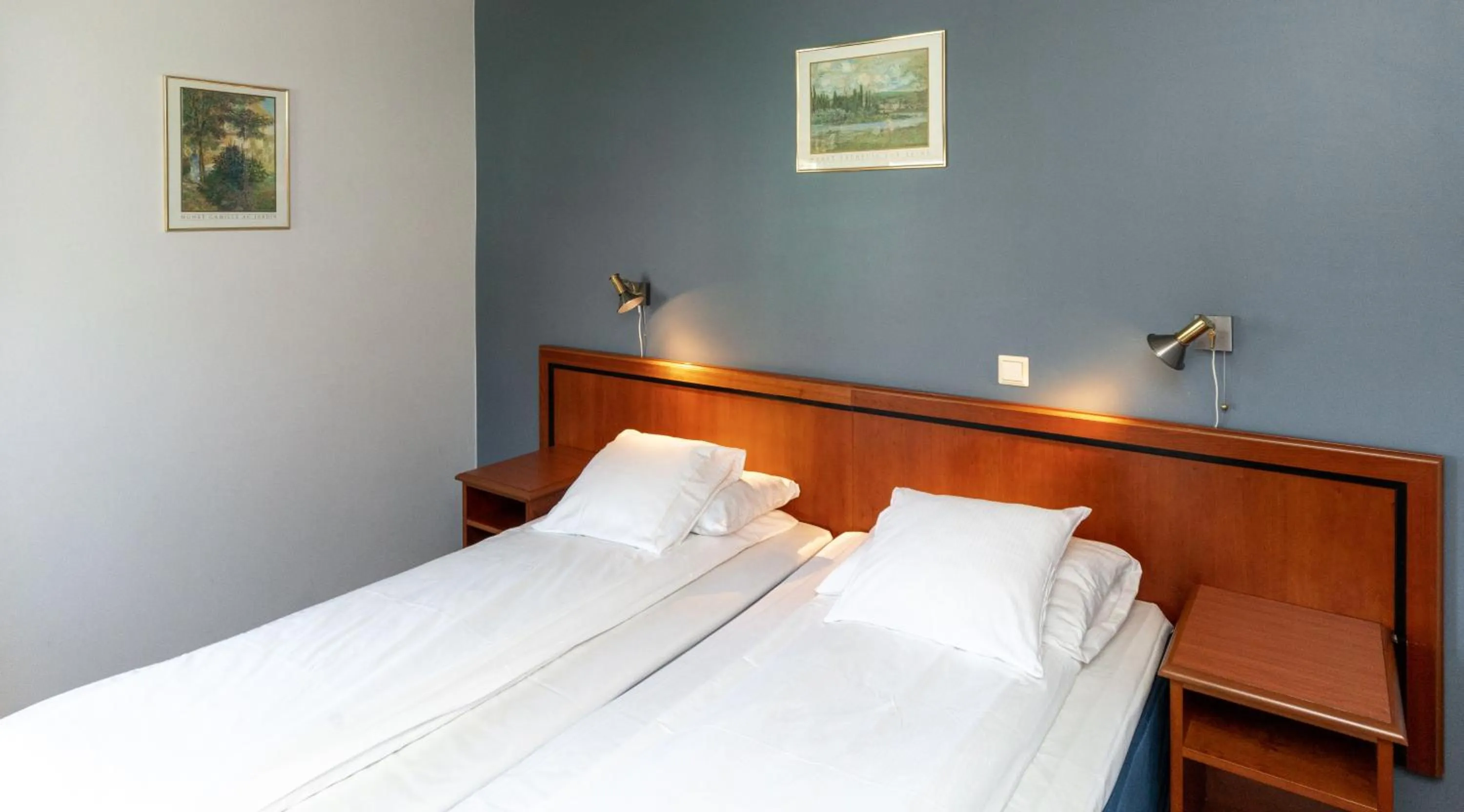 Bed in Home Hotel Park