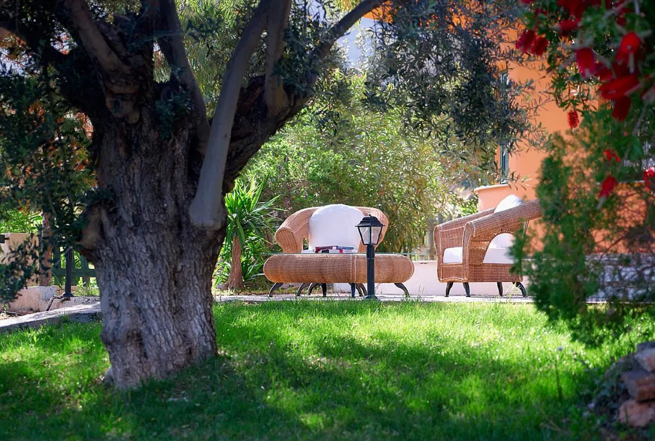 Garden in Hotel Ledra