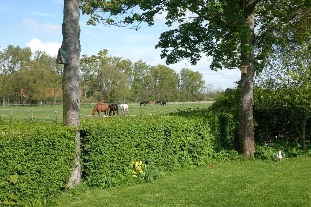 Gastenverblijf Neeltje