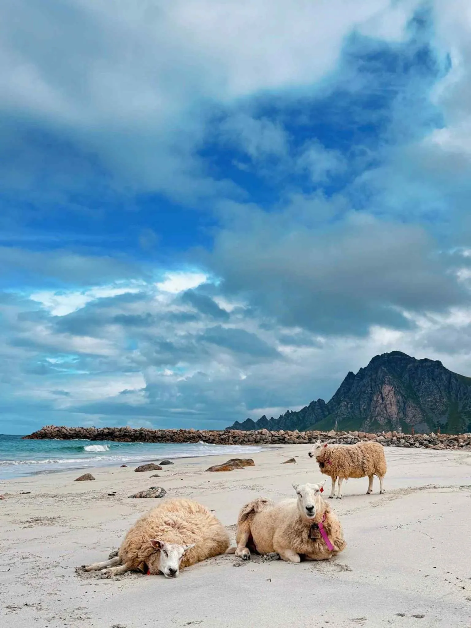 Hiking in Thon Partner Hotel Andrikken