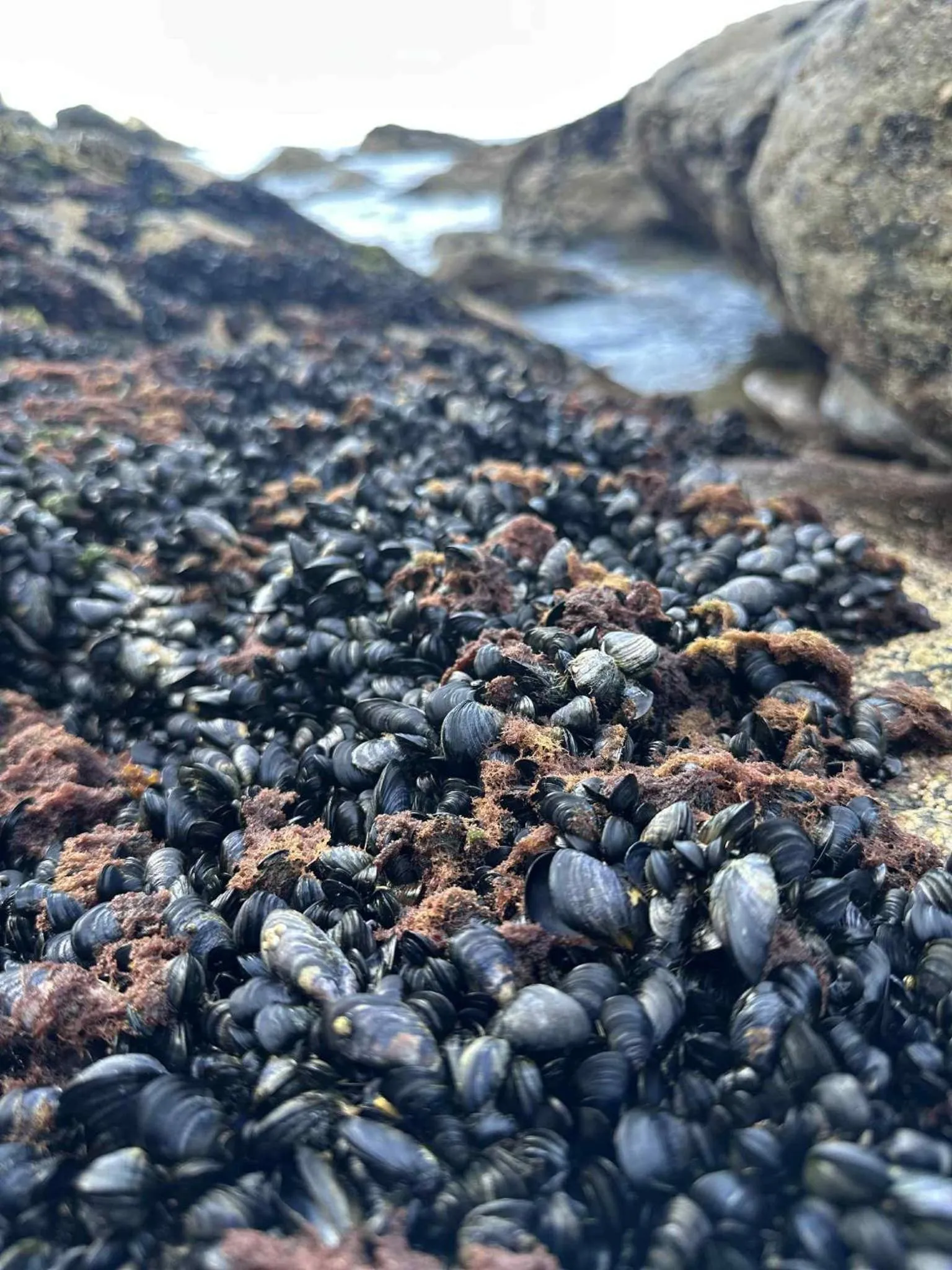 Hiking in Thon Partner Hotel Andrikken