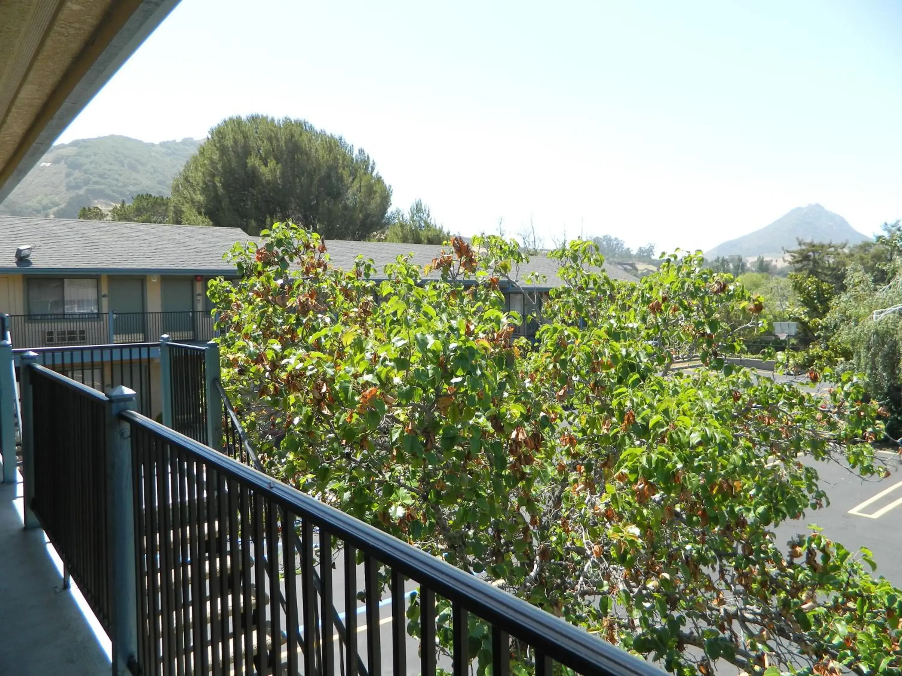 Mountain view in DOWNTOWN SLO INN - SAN LUIS OBISPO Mountain view in DOWNTOWN SLO INN - SAN LUIS OBISPO