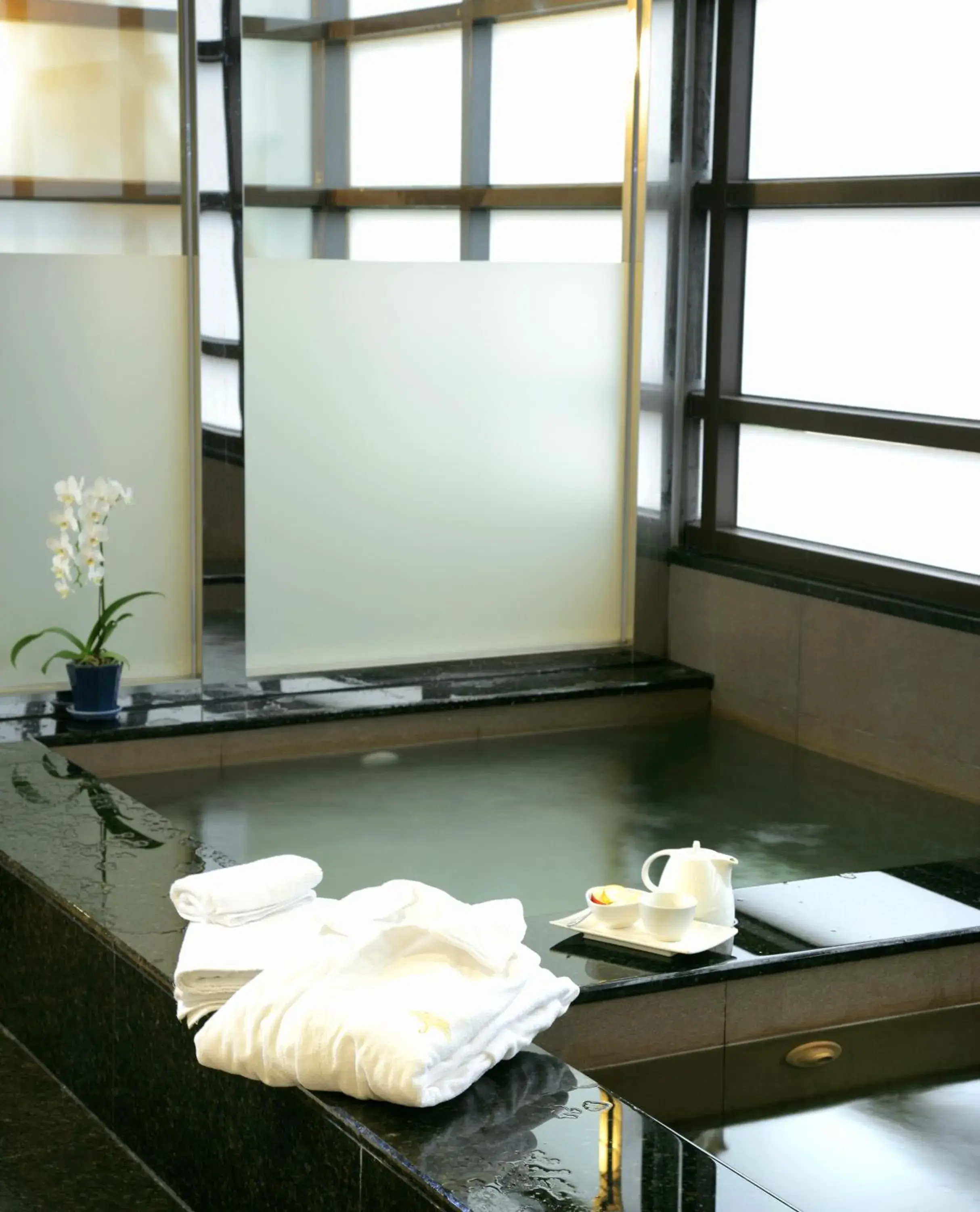 Hot Spring Bath, Bathroom in Fullon Hotel Taipei, Central