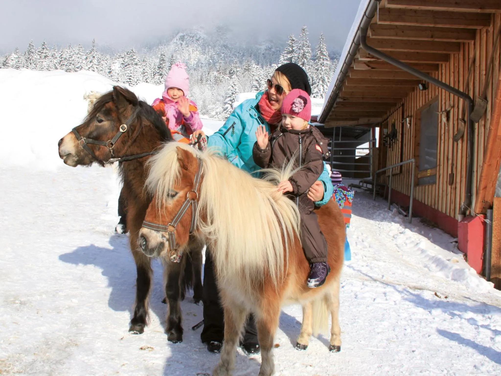 Horse-riding in Familienresort Buchau
