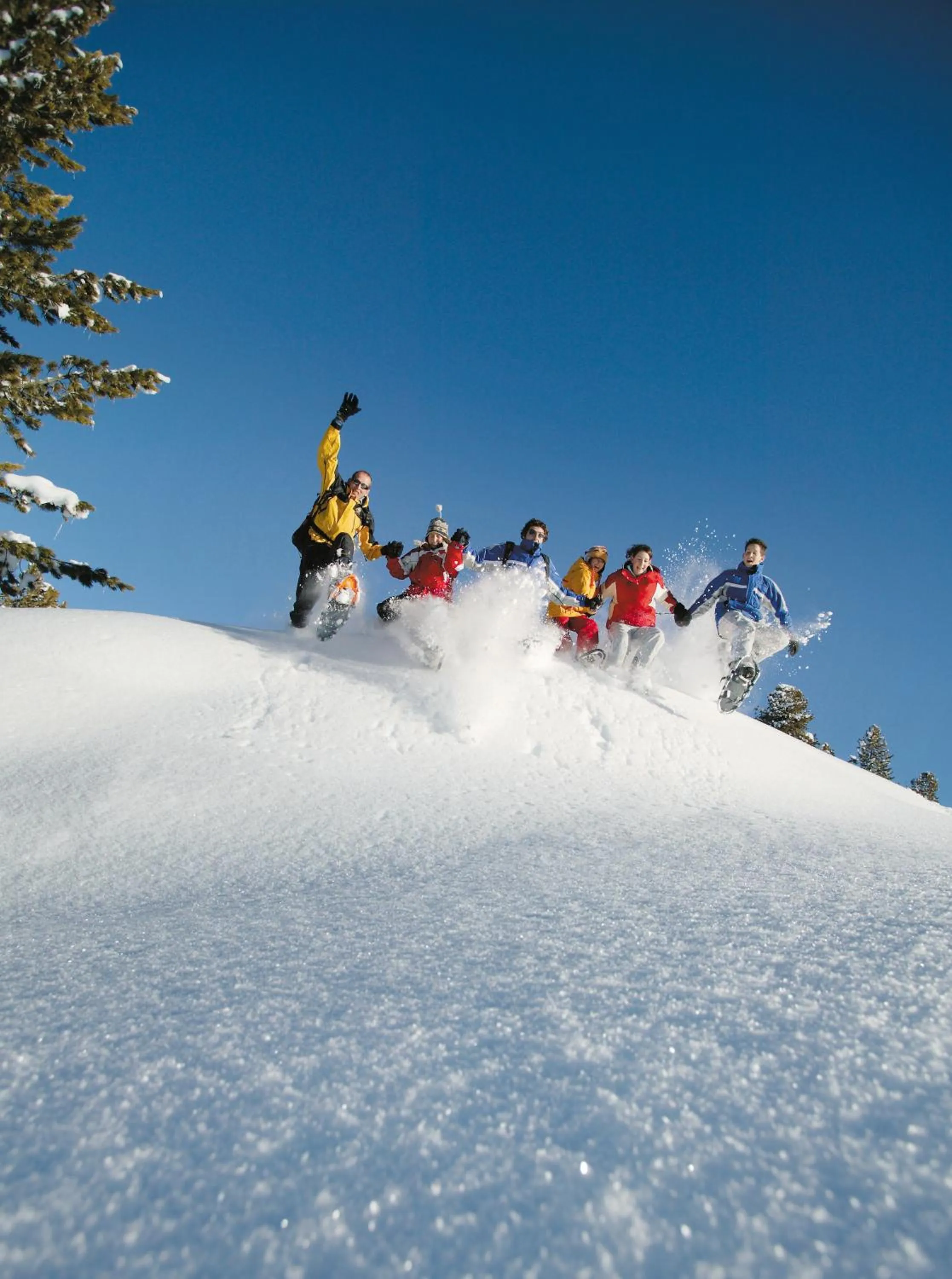 Winter in Familienresort Buchau