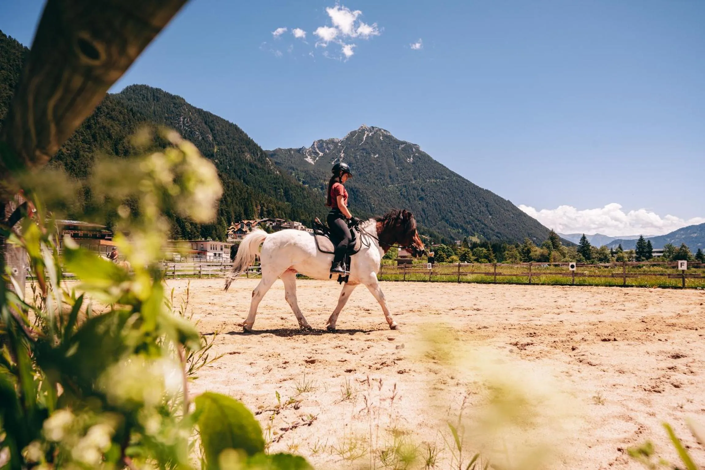 Horse-riding in Familienresort Buchau