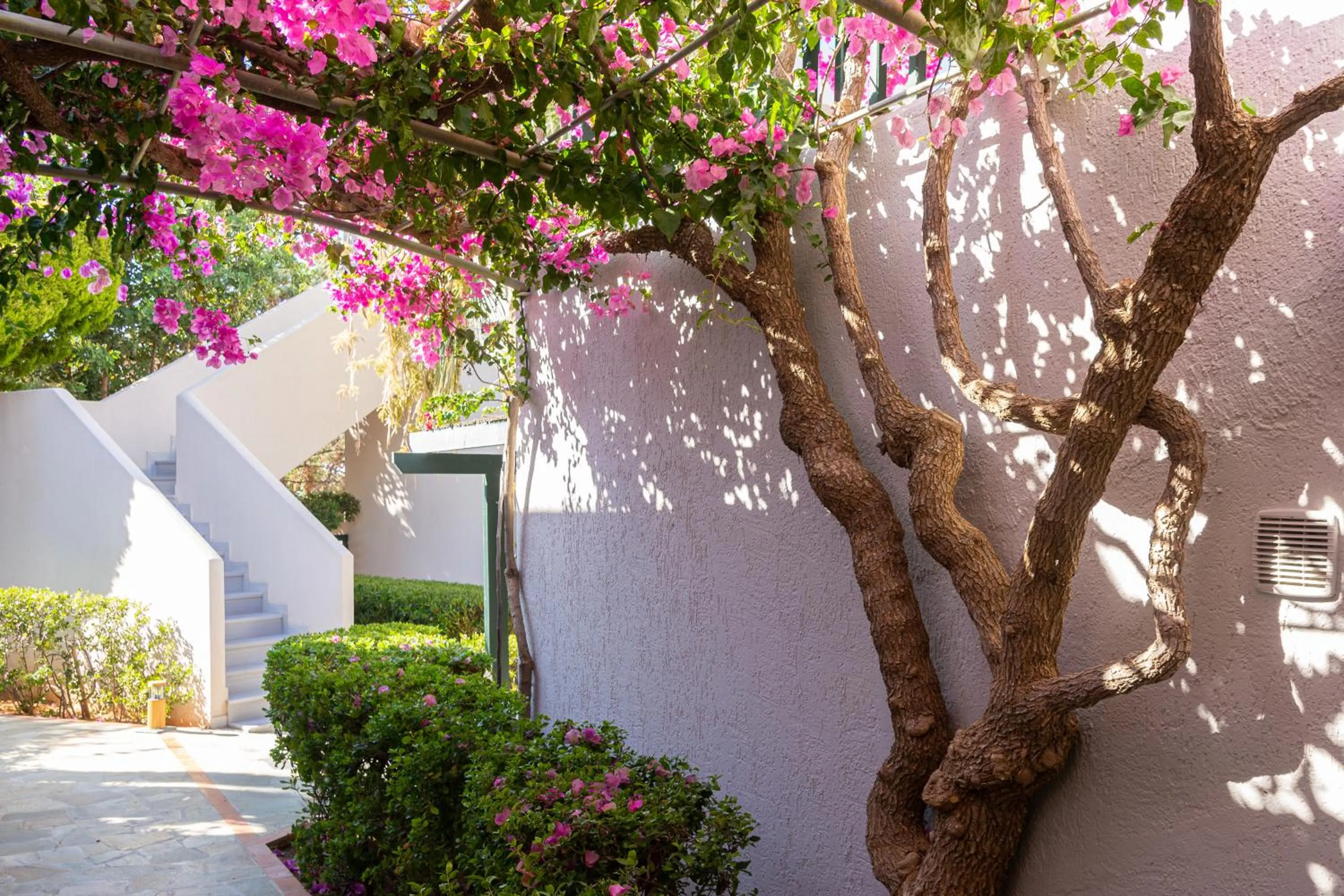 Garden in Anna Maria Village