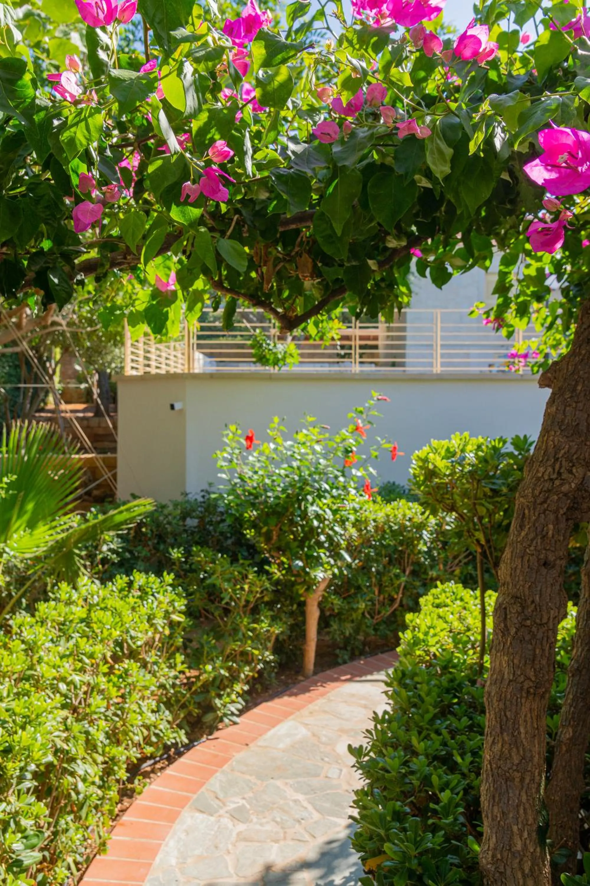 Garden in Anna Maria Village